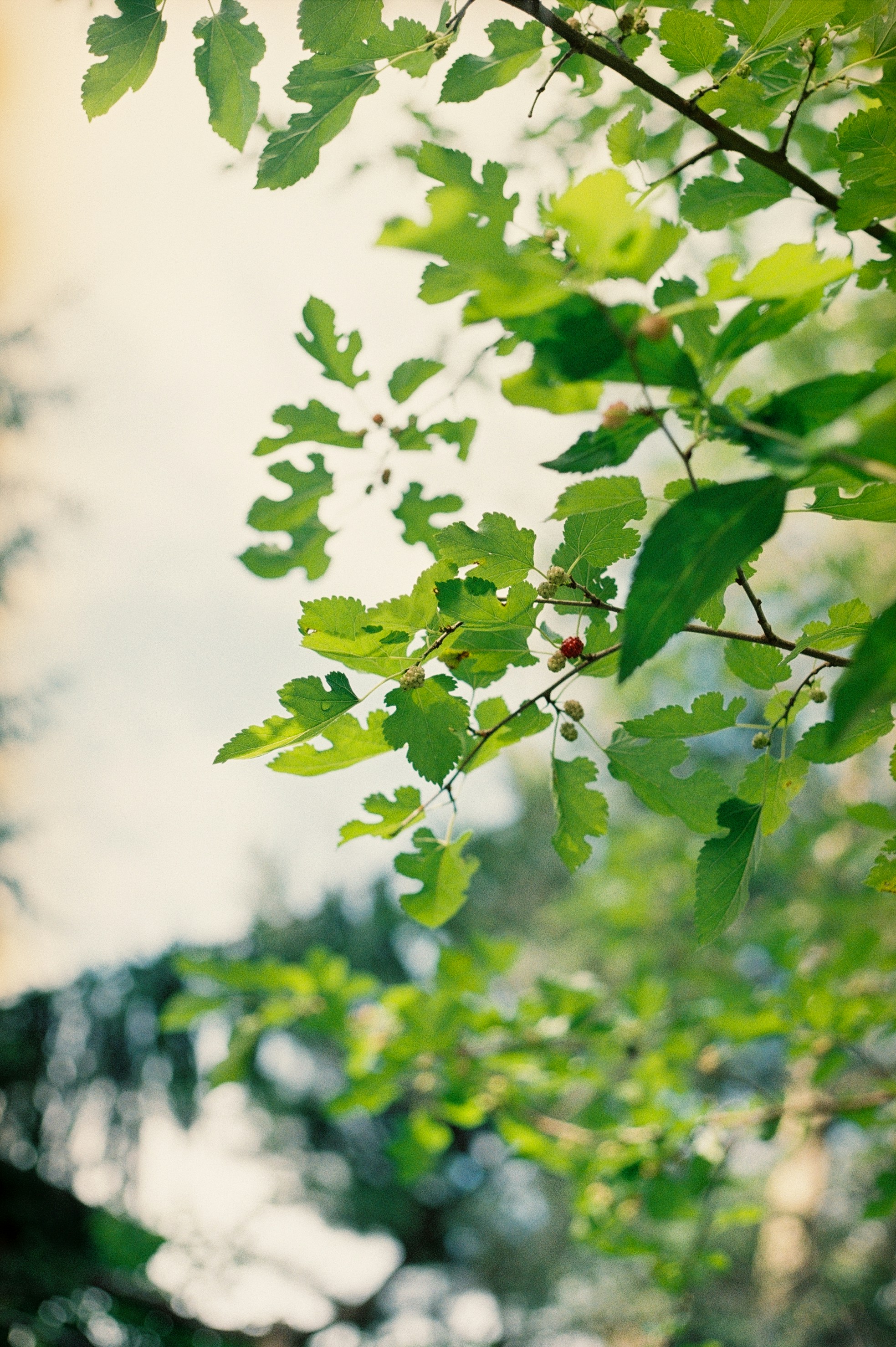 Photo by bhargavpanchal1986