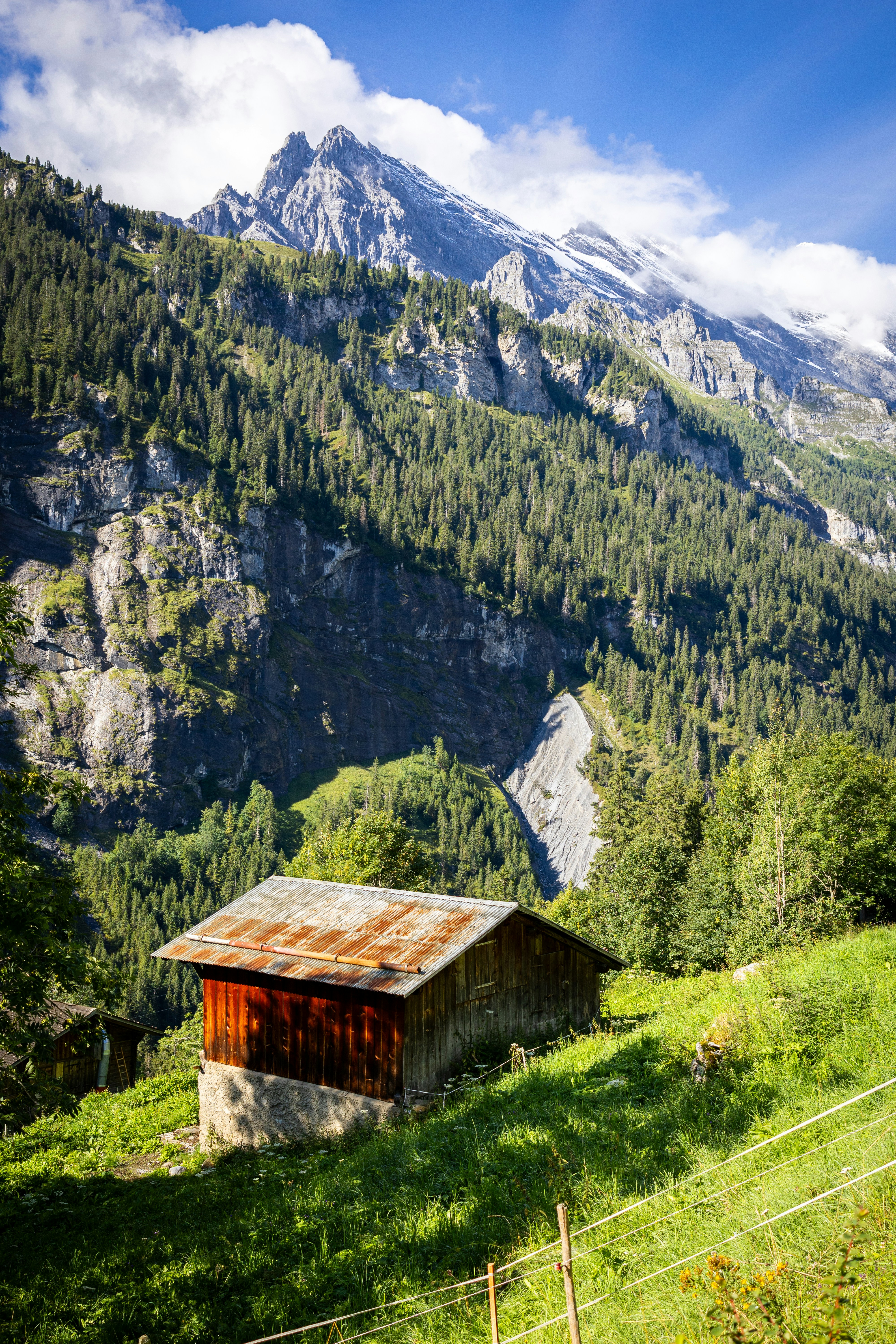 Photo by matty_pearce