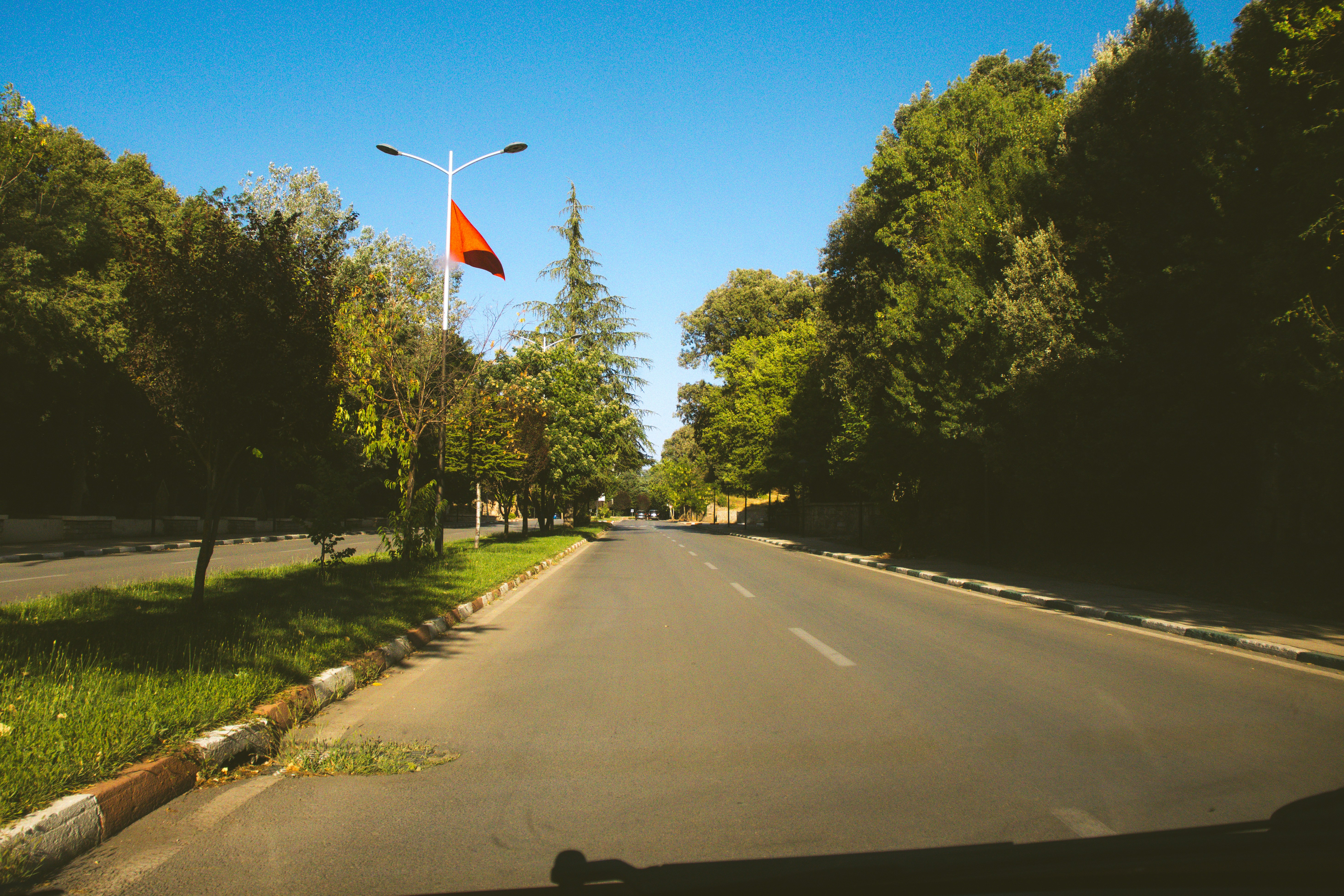 Empty road lined with trees under a clear sky