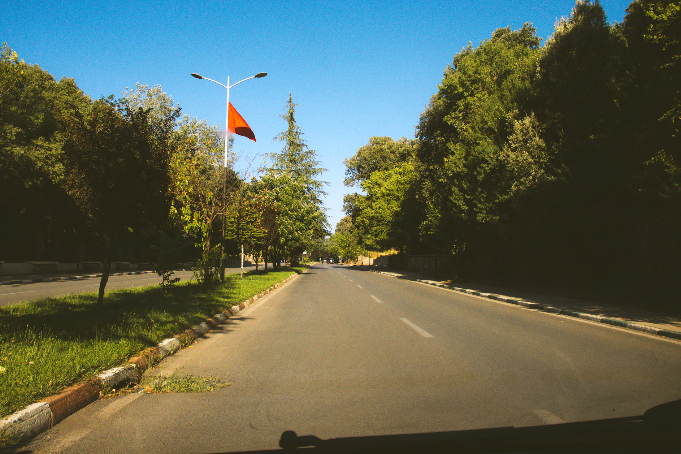 Tree-lined road under a clear sky in Ifrane, Morocco