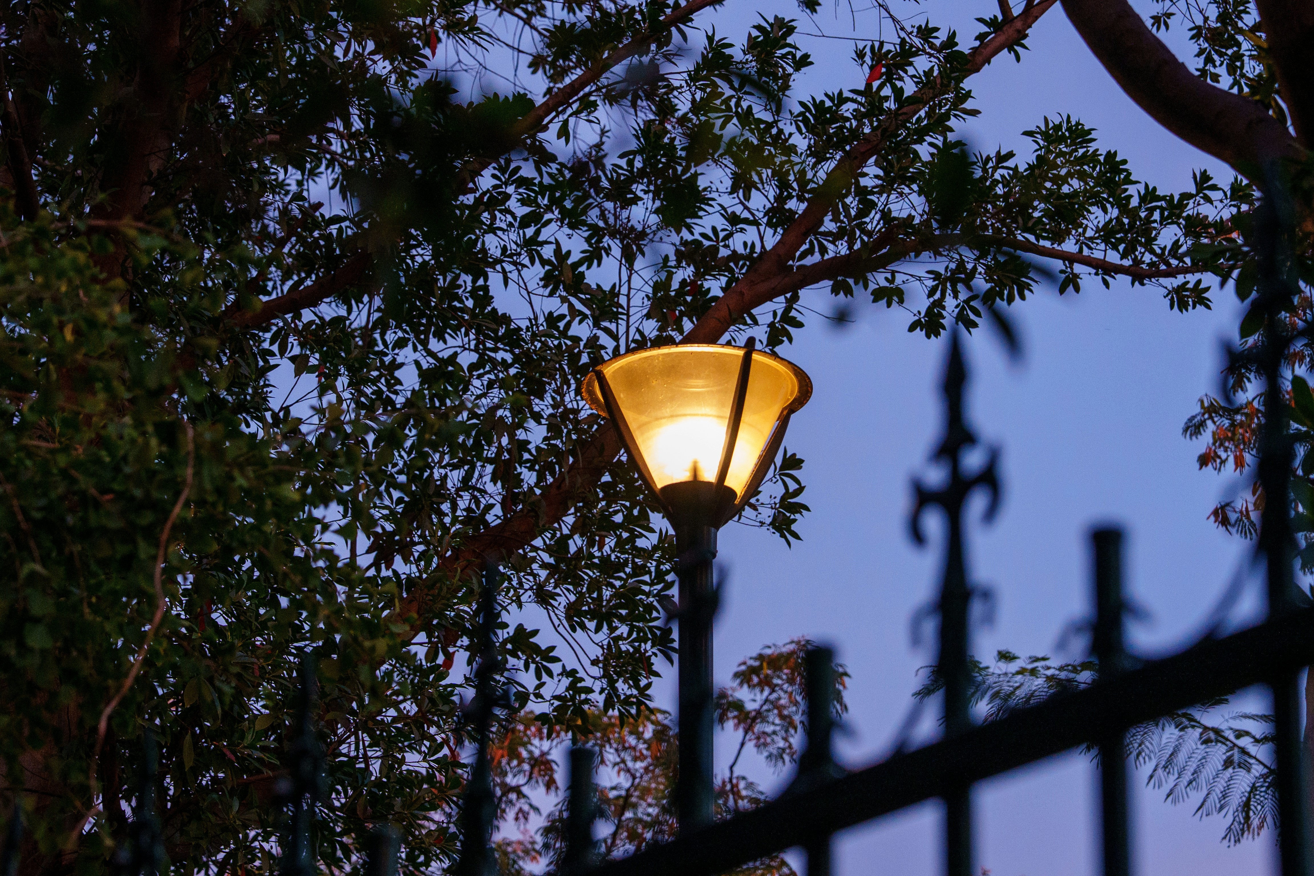 Photo by lightman0215