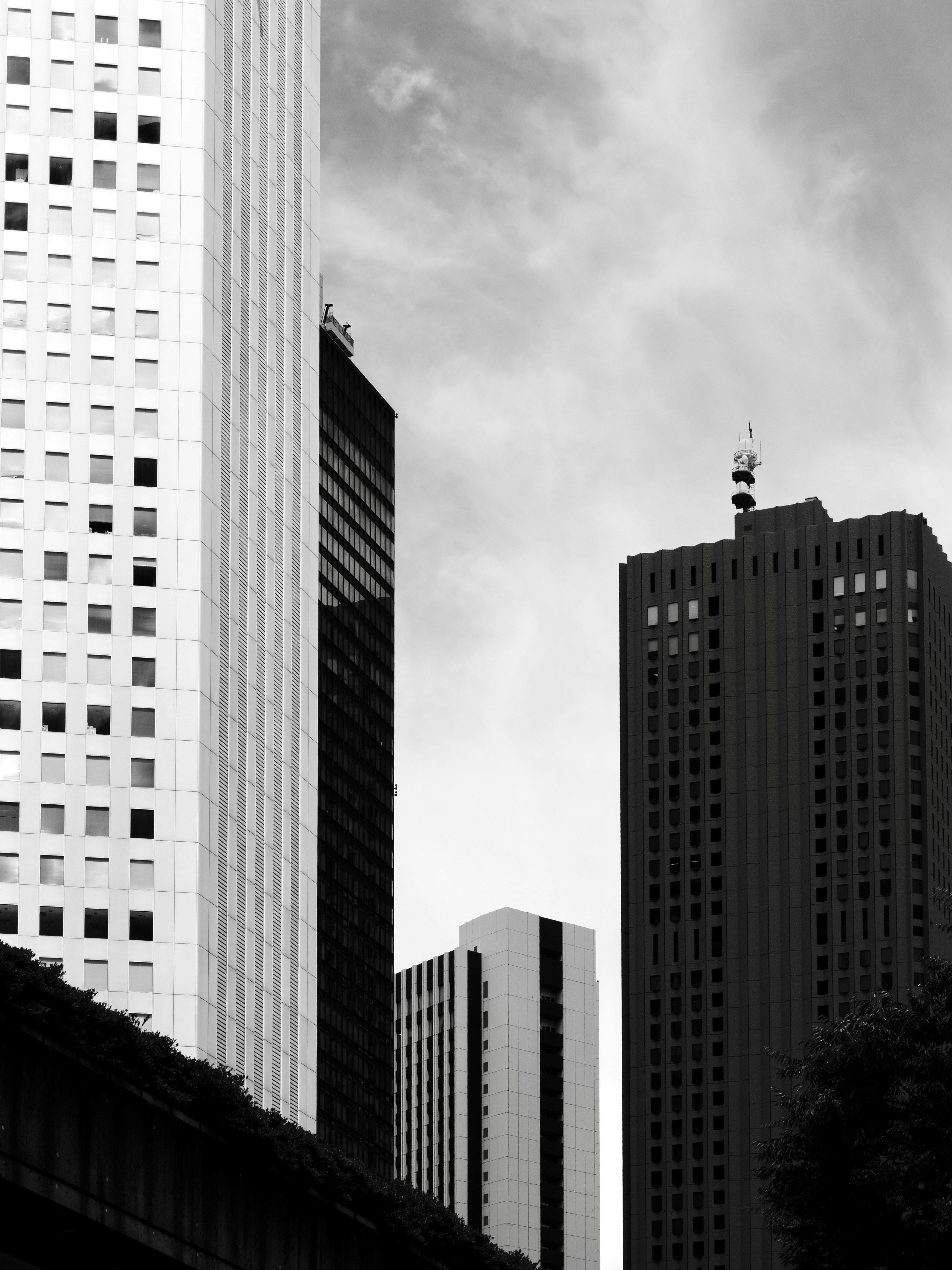 Photo by sschusterphotoart