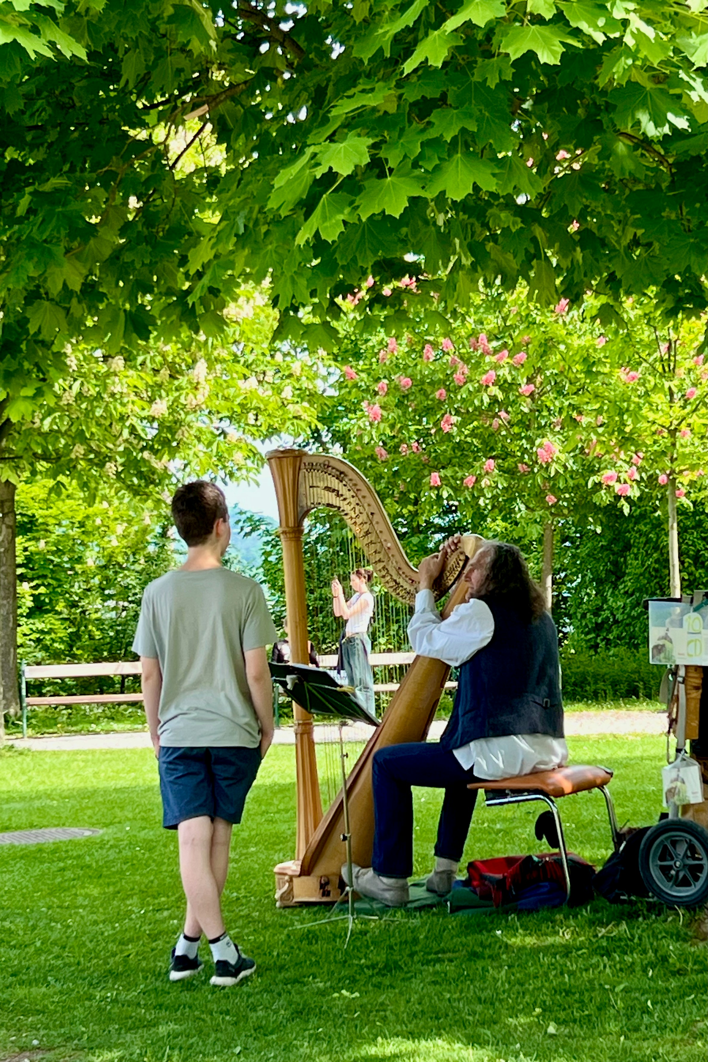 Musician plays harp for audience in park