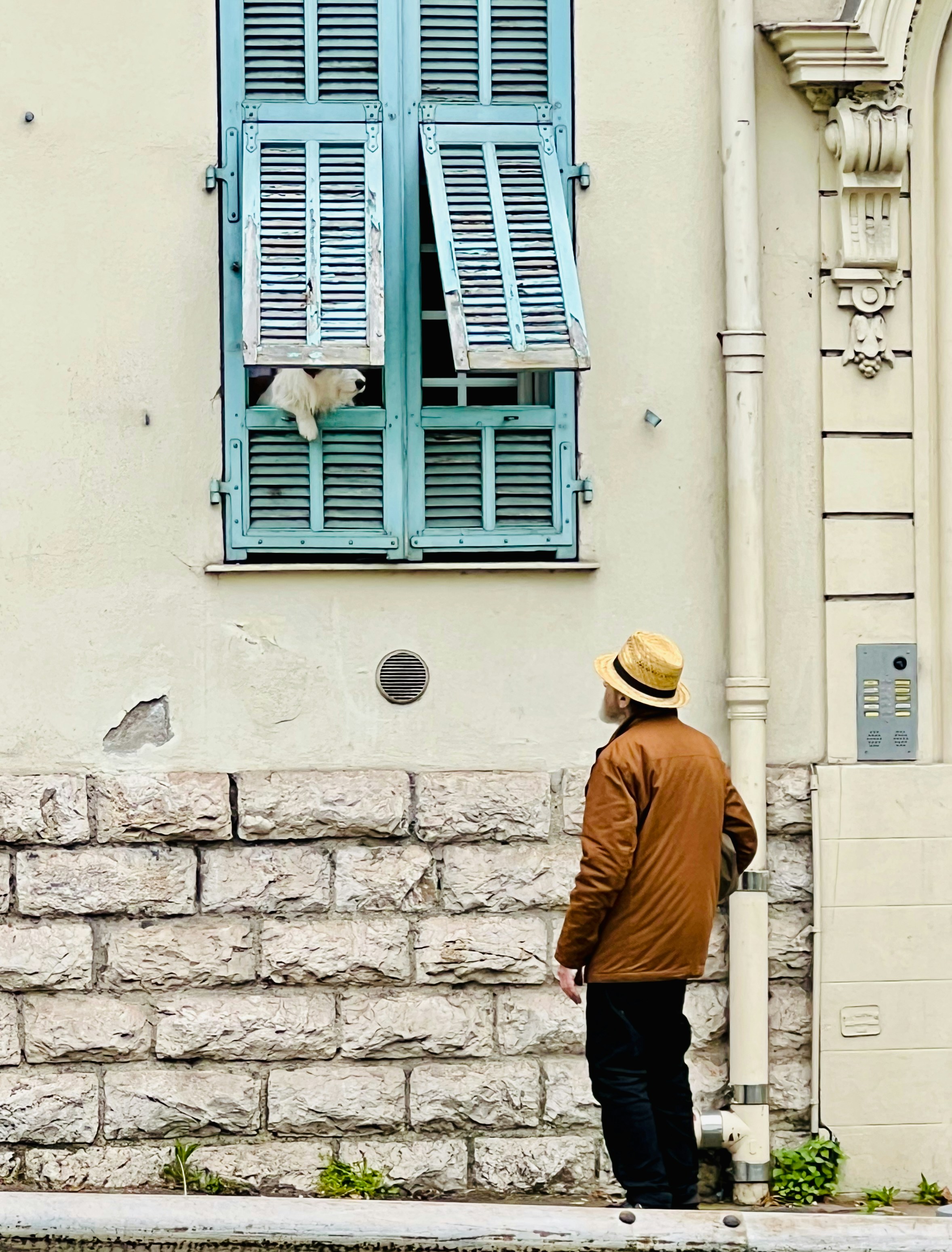 Man looks up at cat in open window