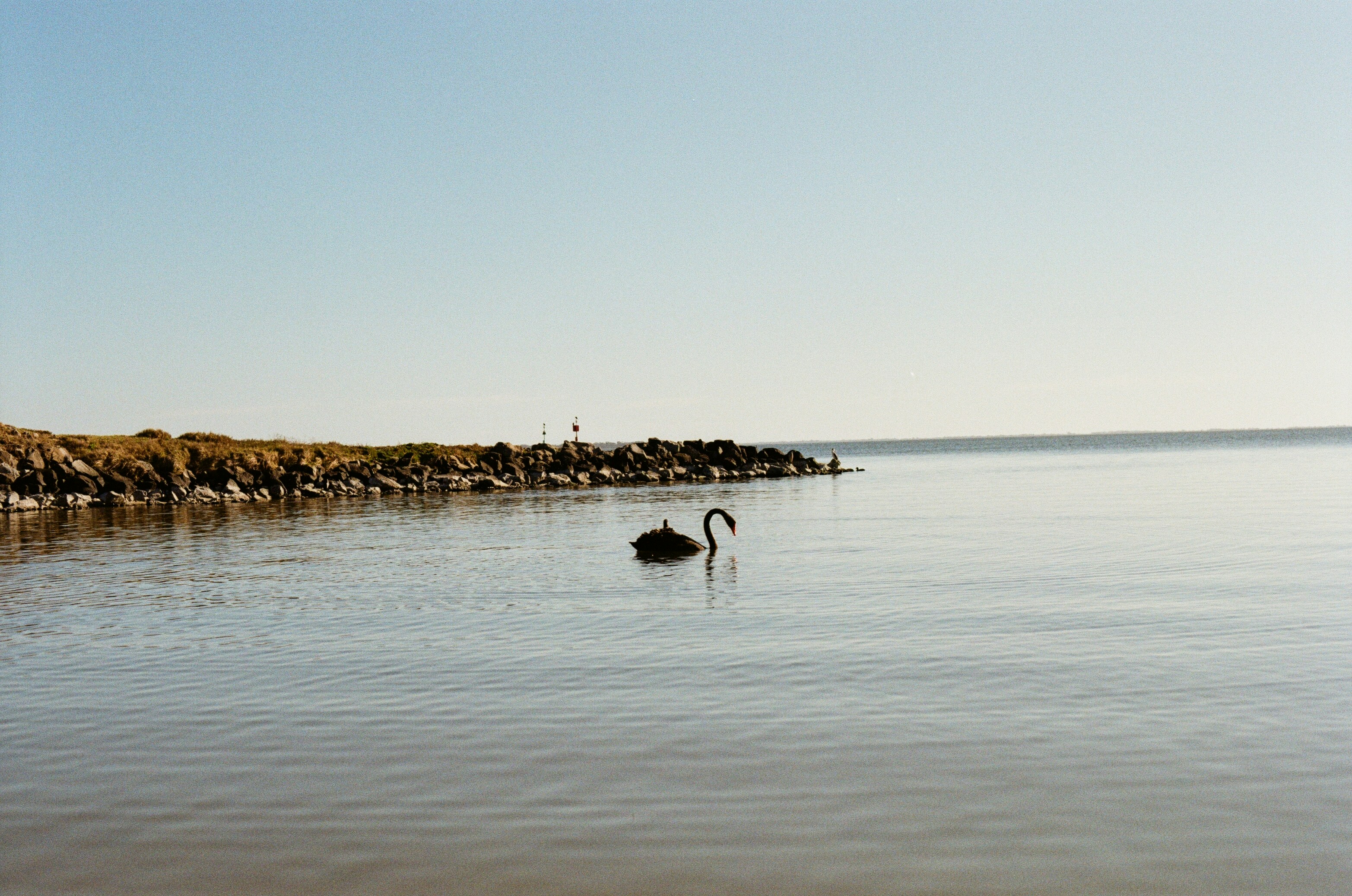 Loch Sport, Victoria