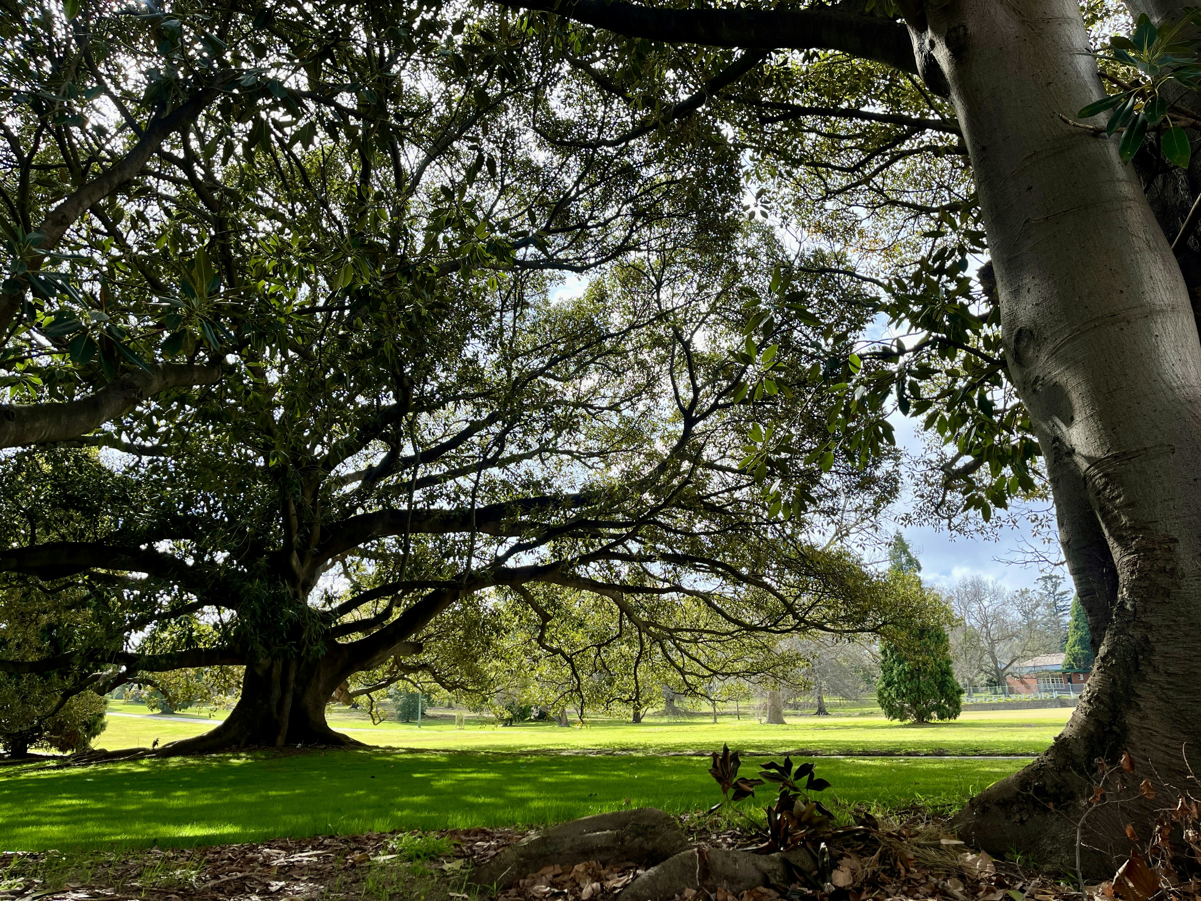 Photo by pierrehenry