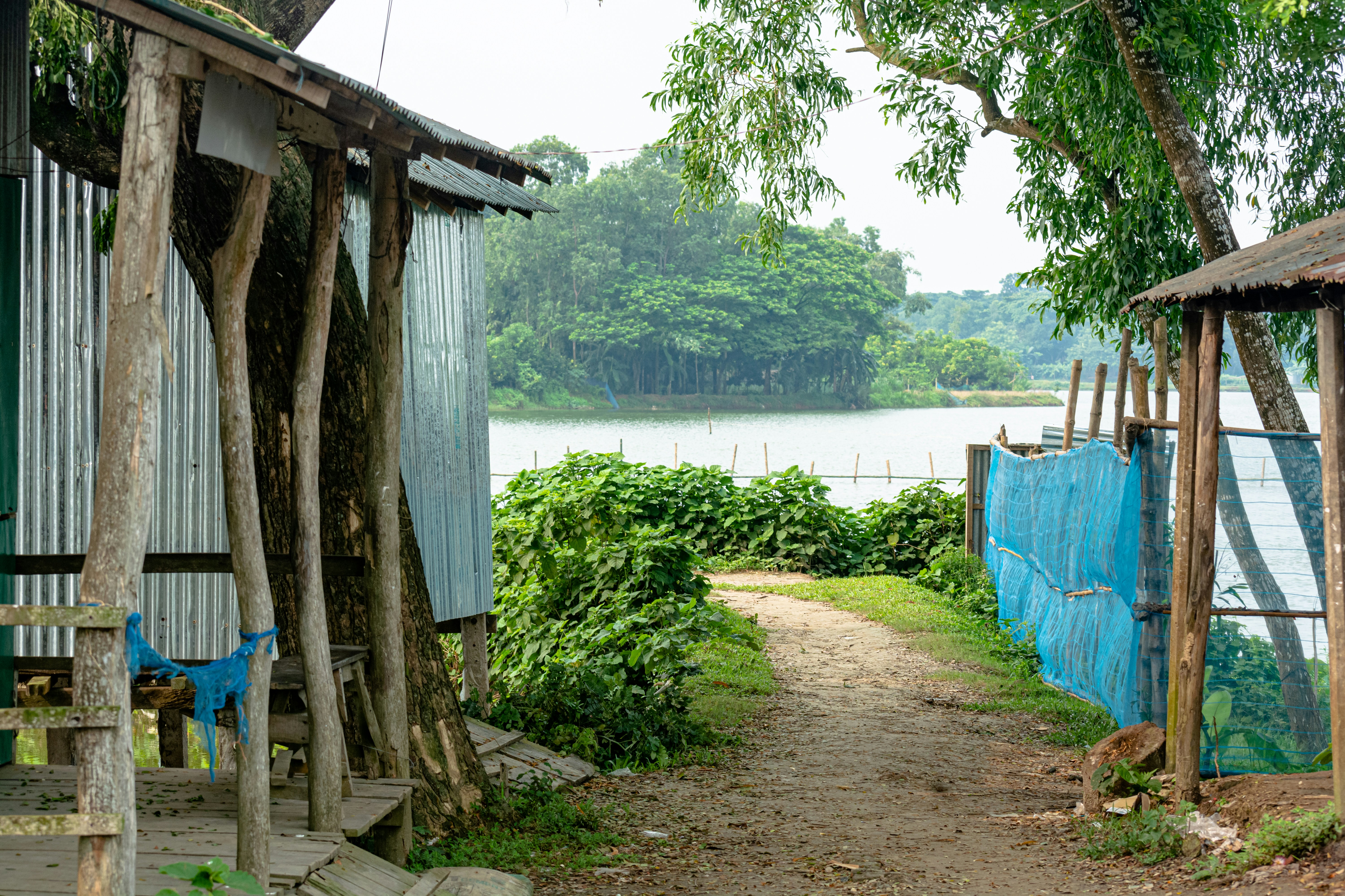 Mymensingh, Bangladesh - None