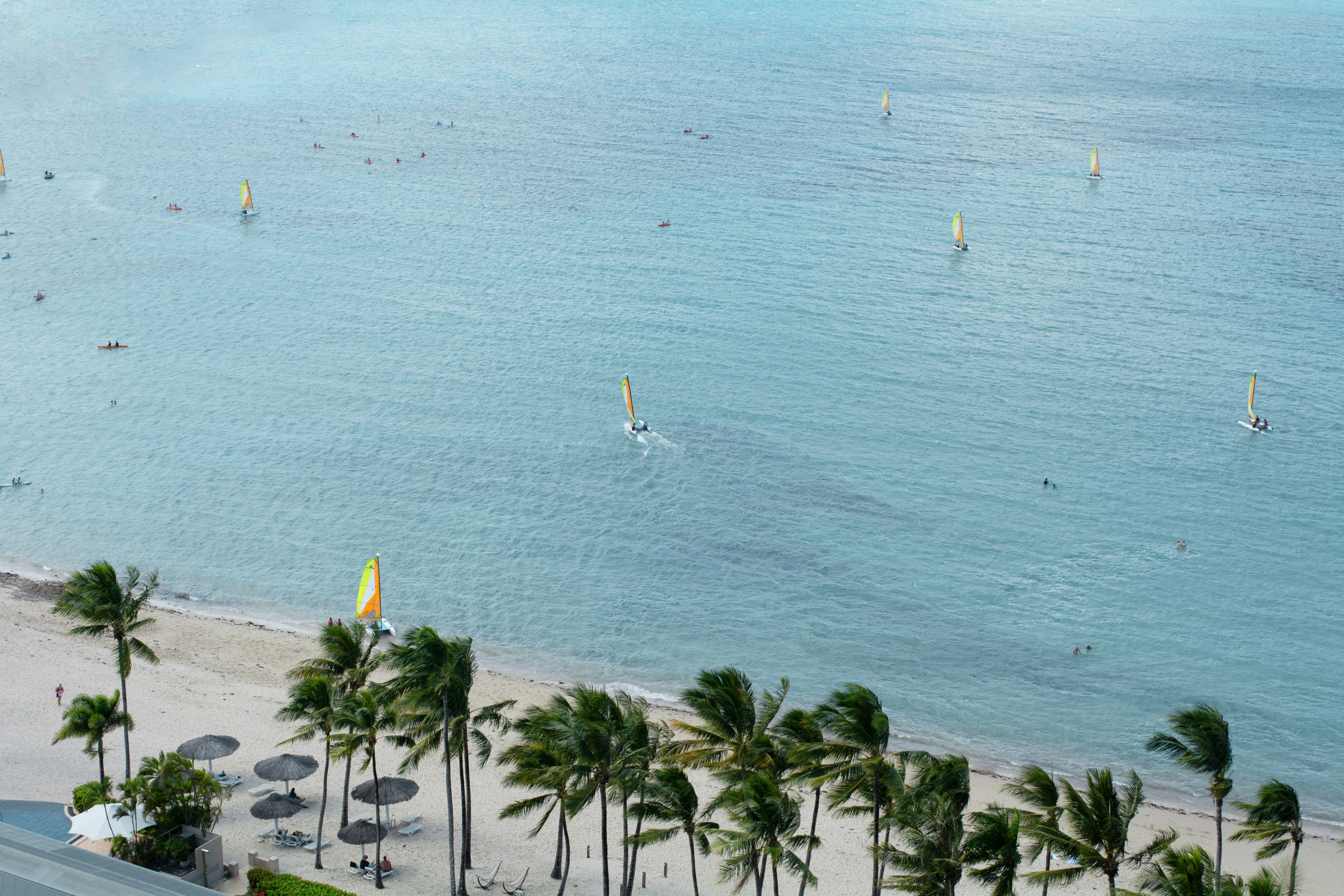 Windsurfers on turquoise water near sandy beach