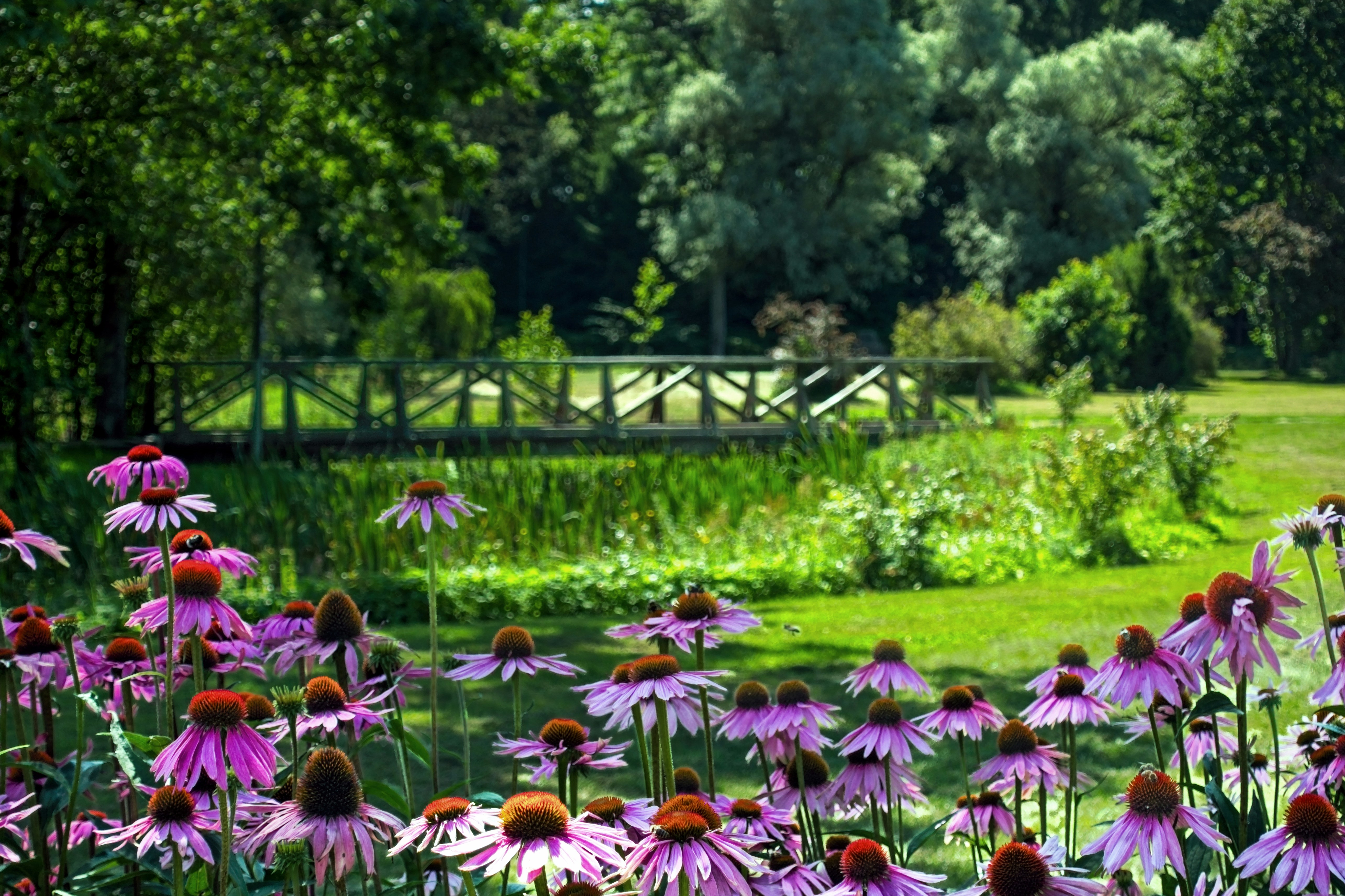 outdoor garden design, backyard landscaping, patio decoration - Detail