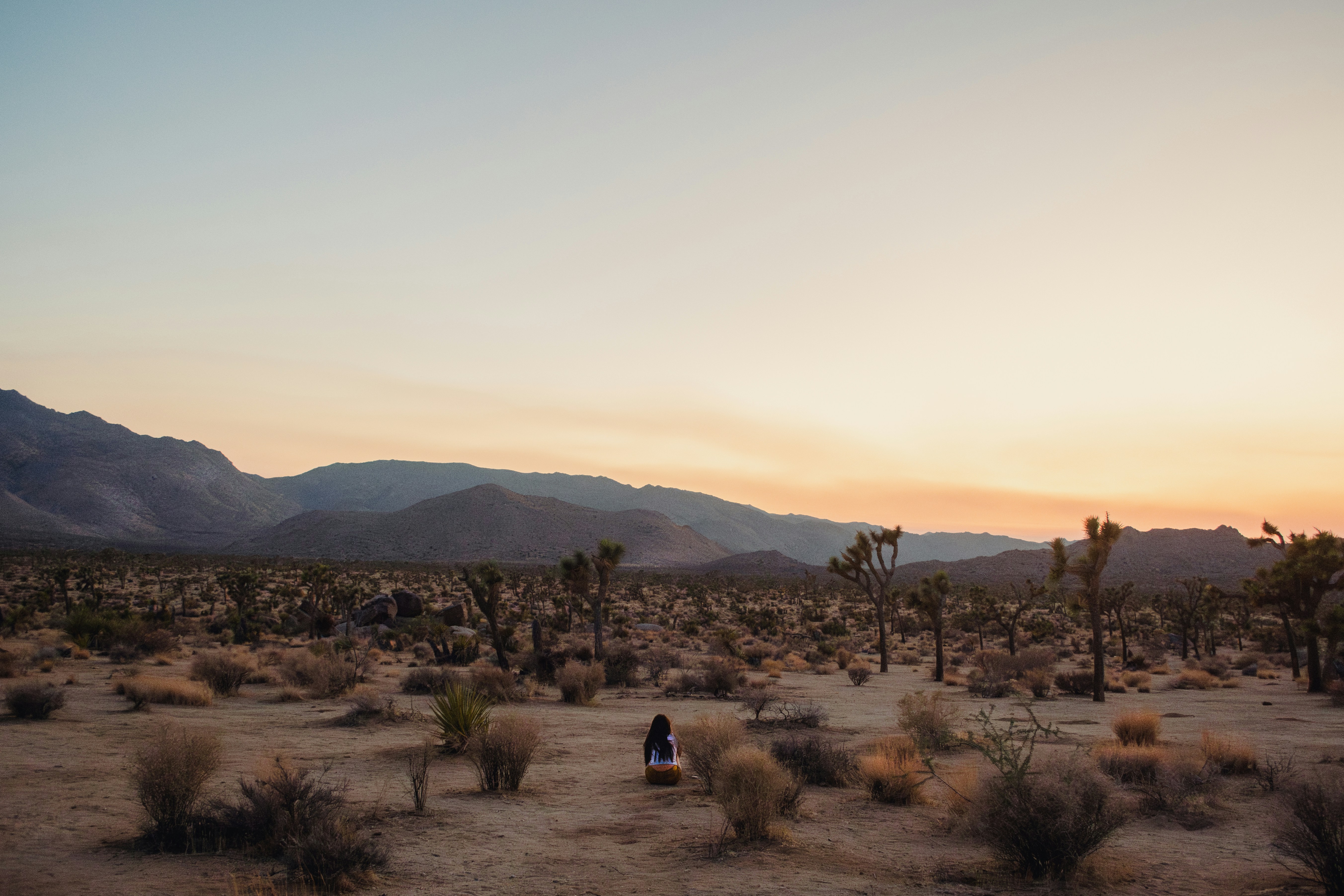 Einsame Gestalt in einer weiten Wüstenlandschaft bei Sonnenuntergang.