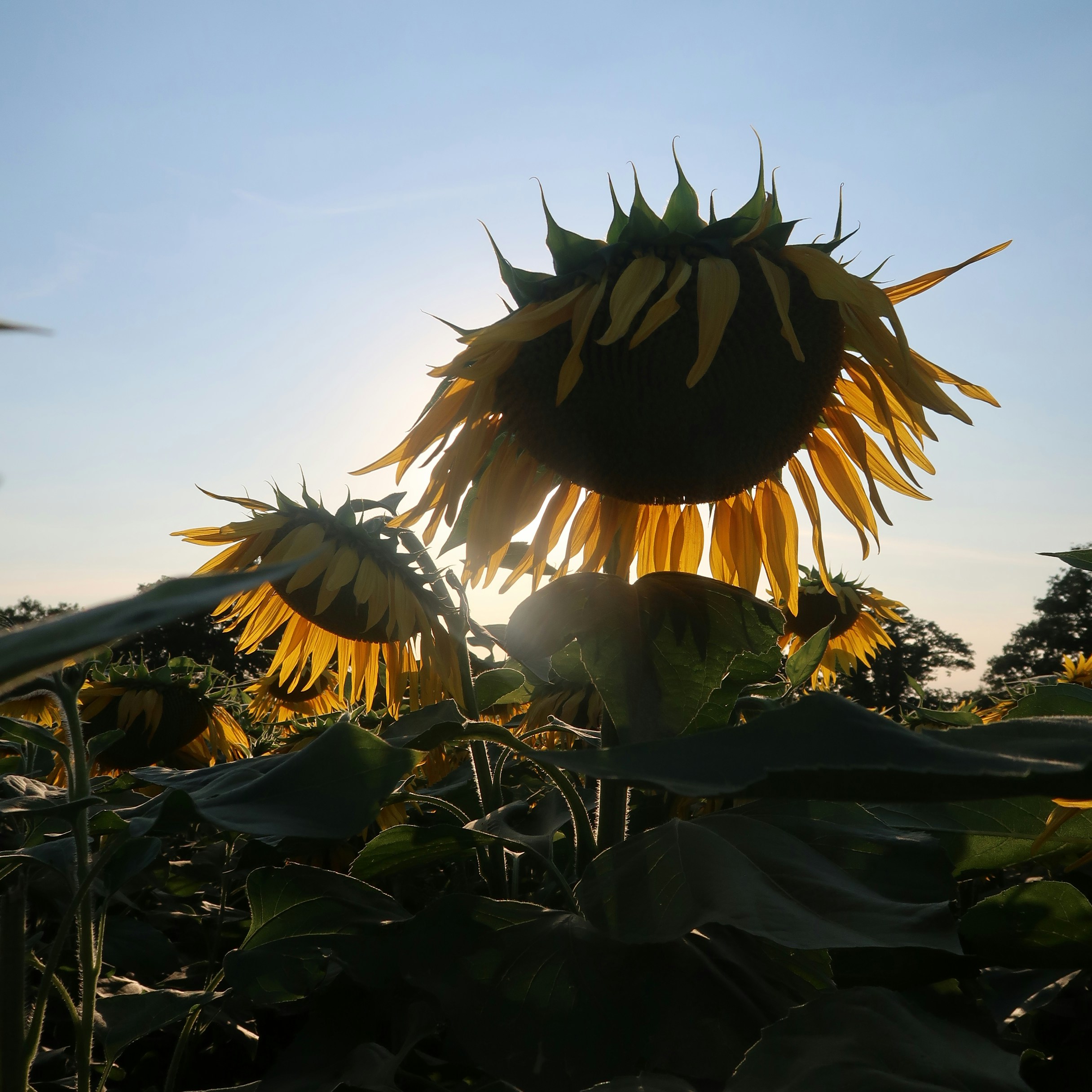 Photo by tanyabarrow