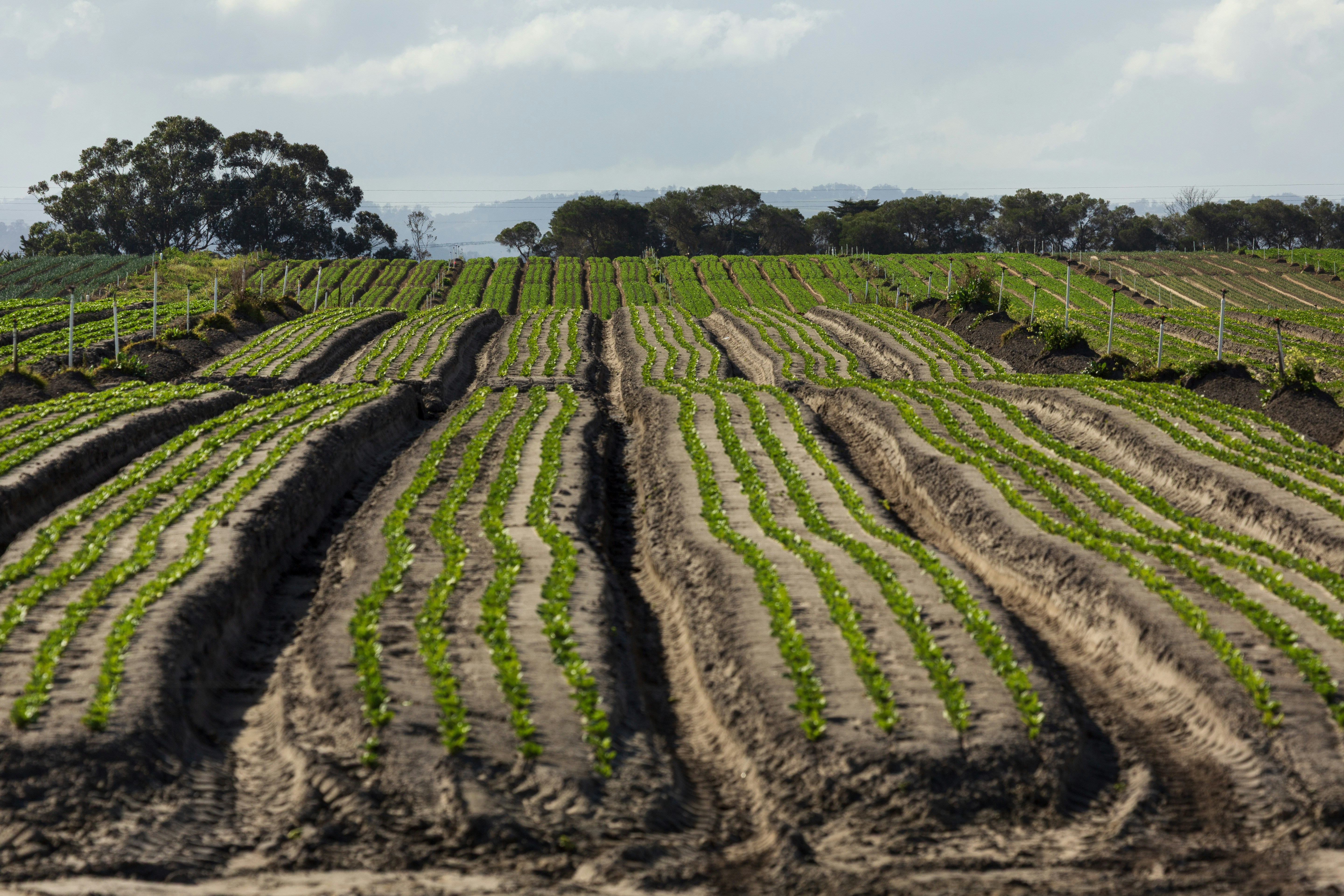 Poľnohospodárstvo: Inovácie, tradícia a hrdosť