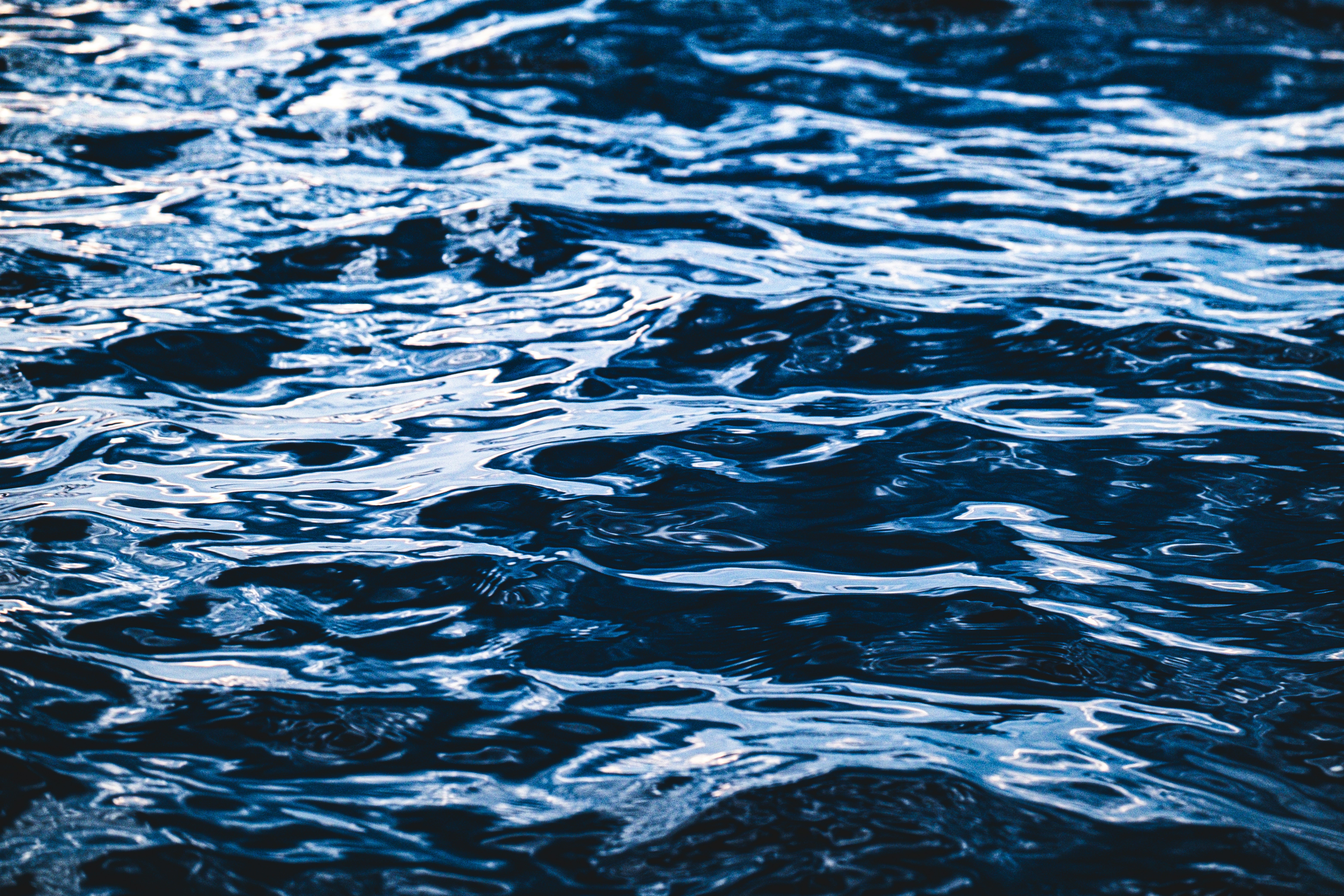 Photo by francesco_ungaro