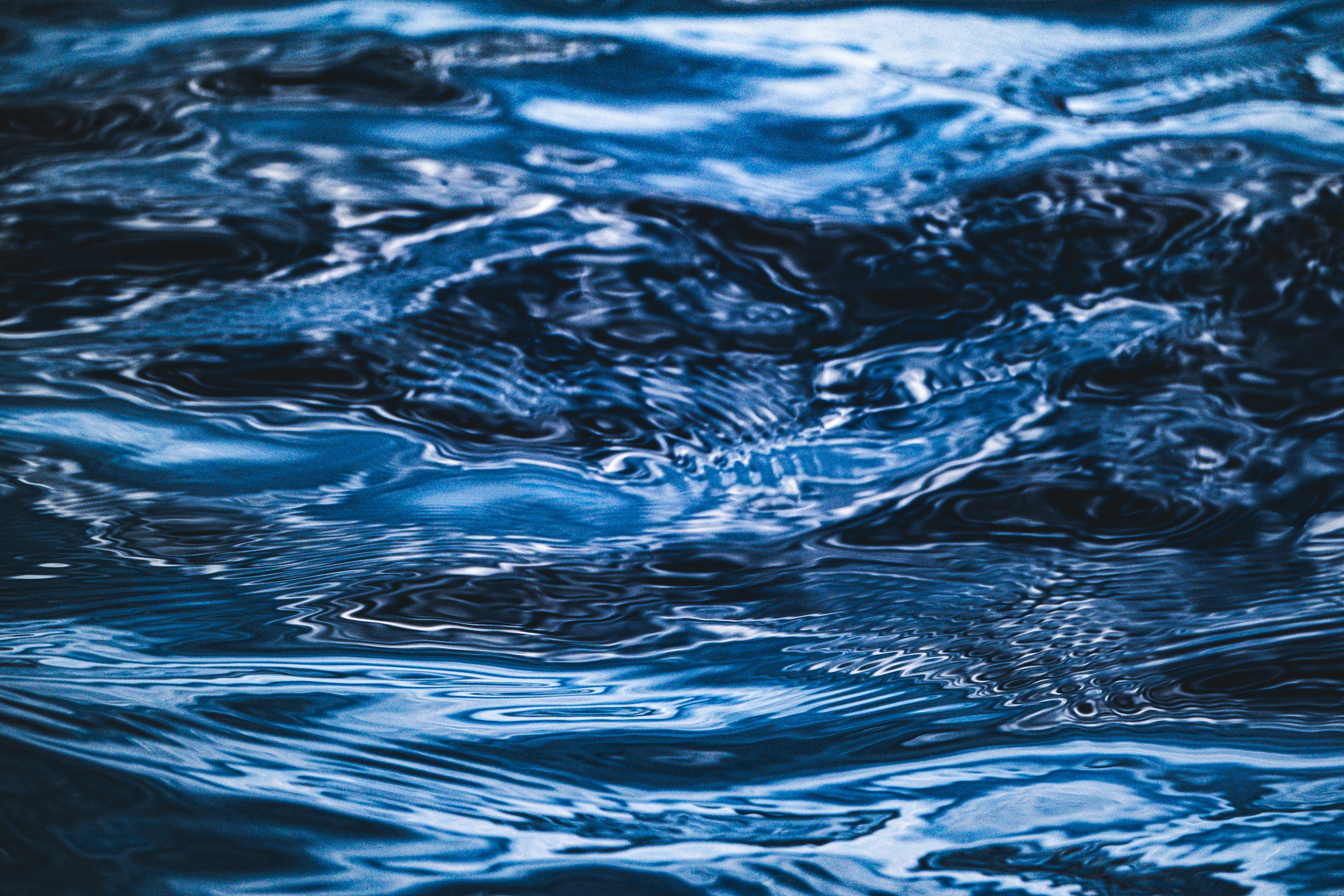 Photo by francesco_ungaro