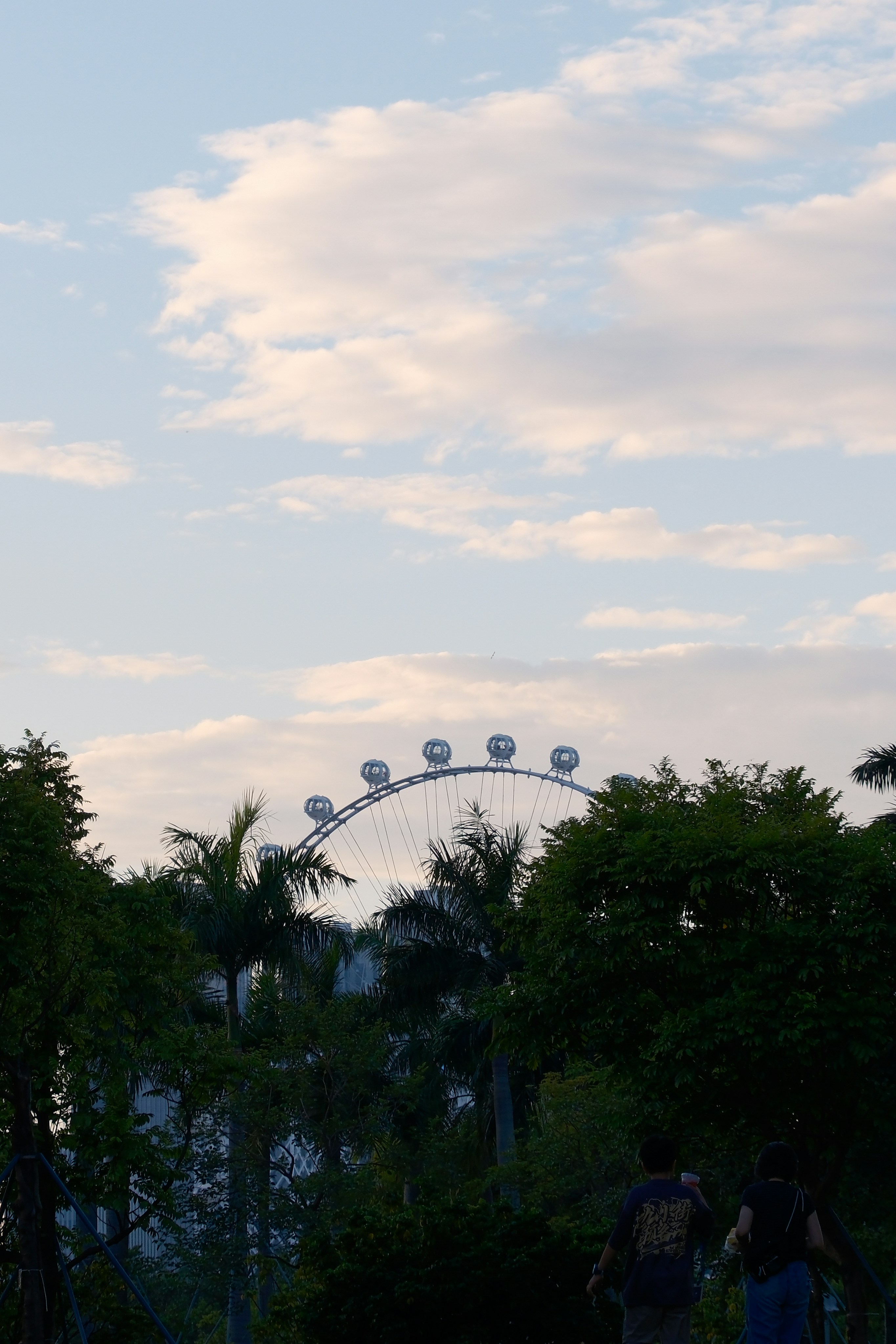 Ferris wheel visible through trees at dusk