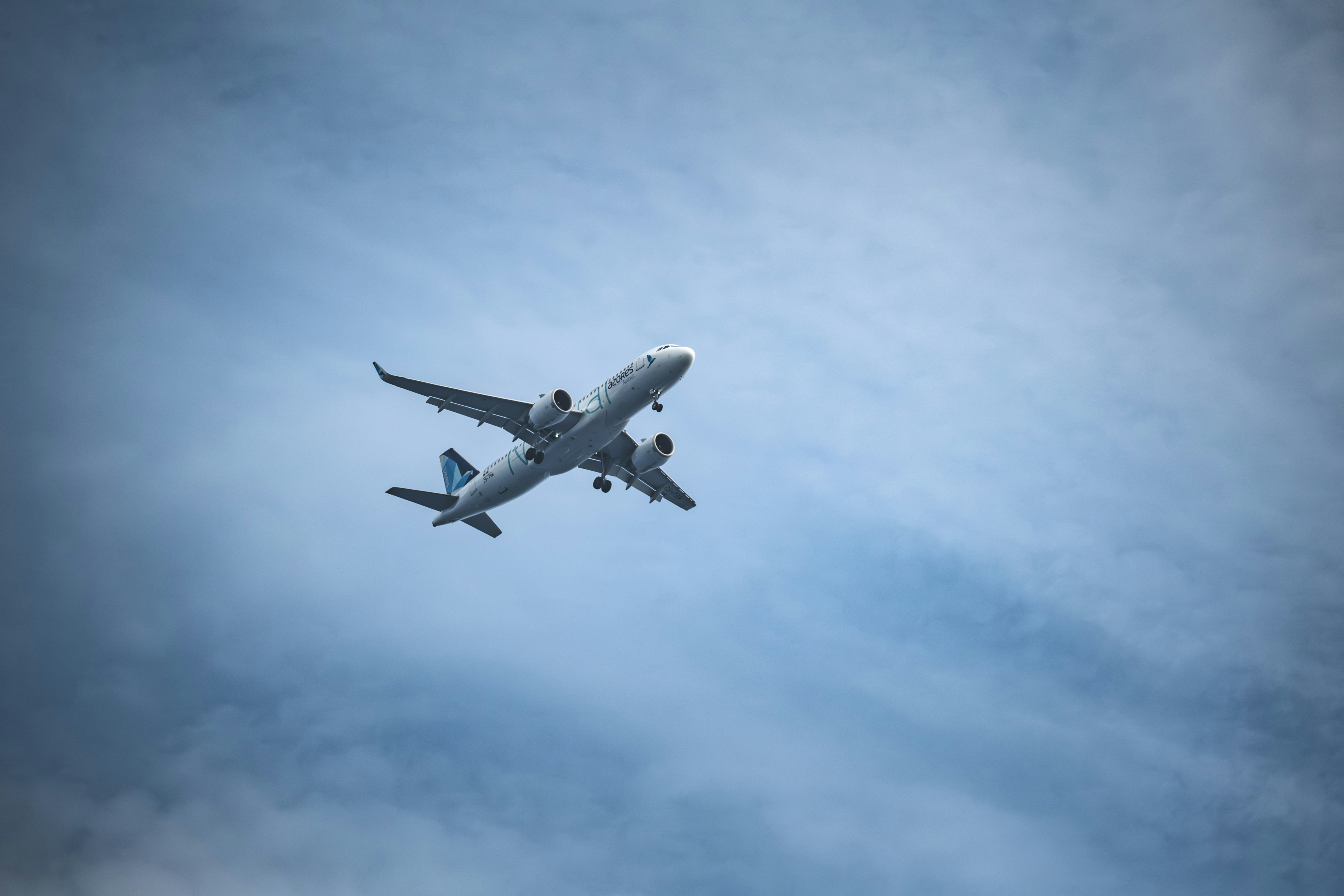 Photo by francesco_ungaro