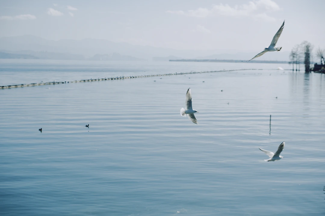 Dali 5-Day Family Itinerary: Classic & Relaxed Guide