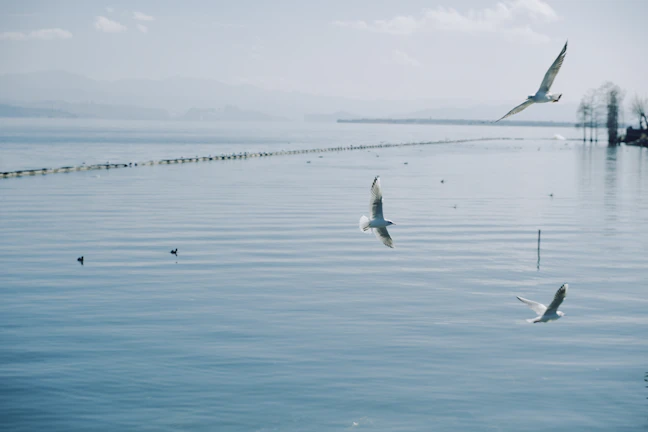 Dali 5-Day Family Itinerary: Classic & Relaxed Guide