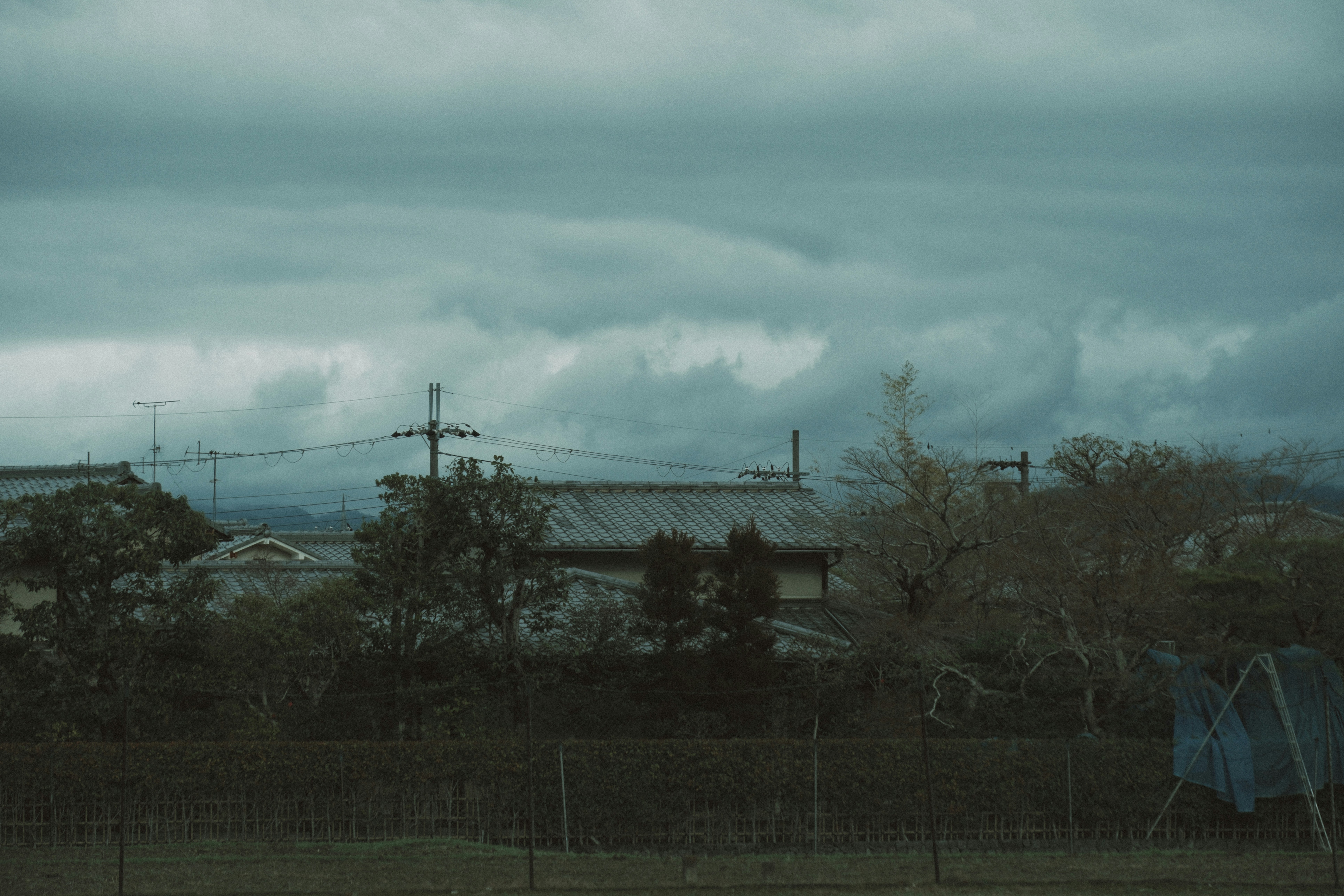 Photo by cuvii