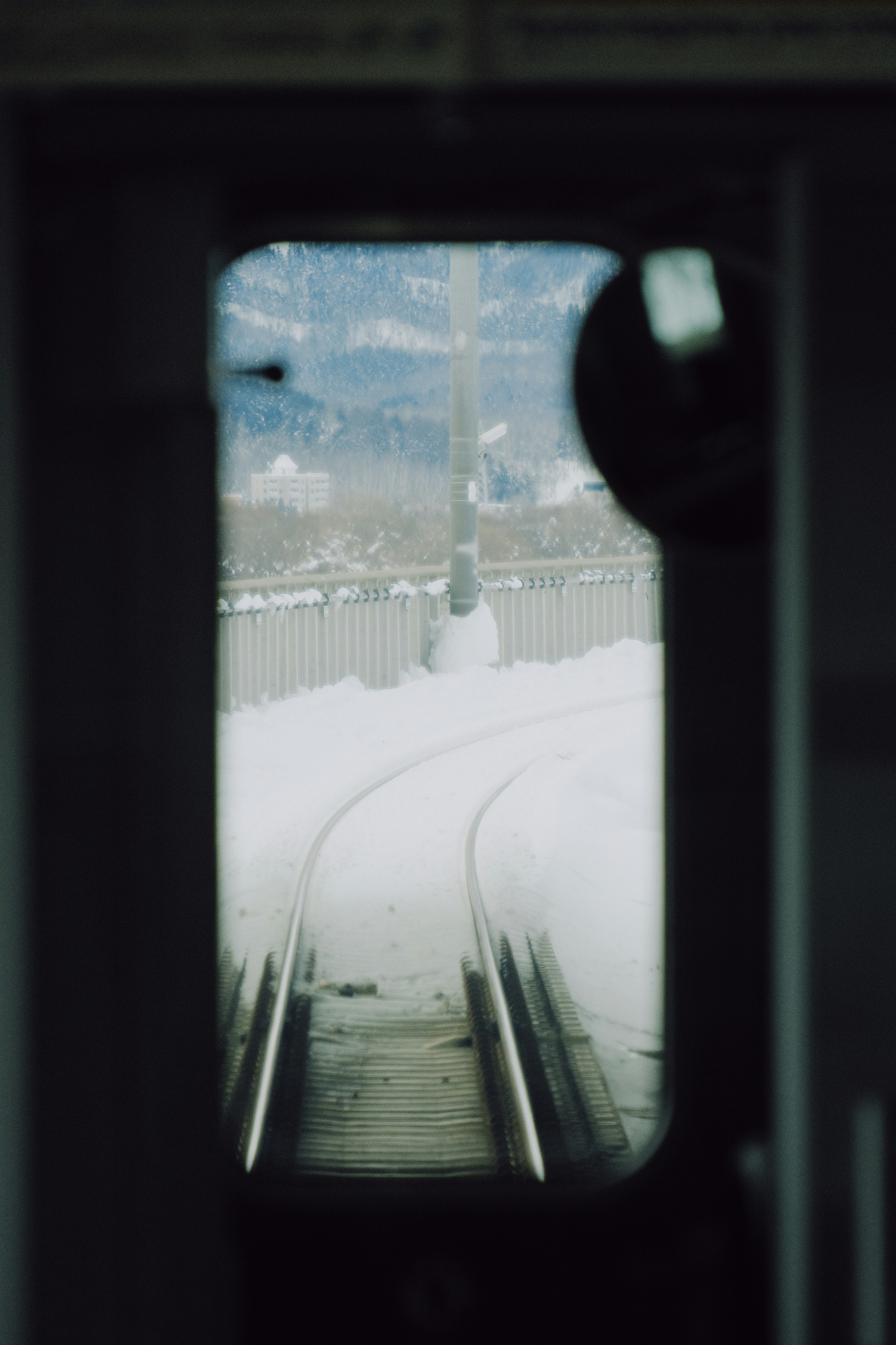 Photo by cuvii