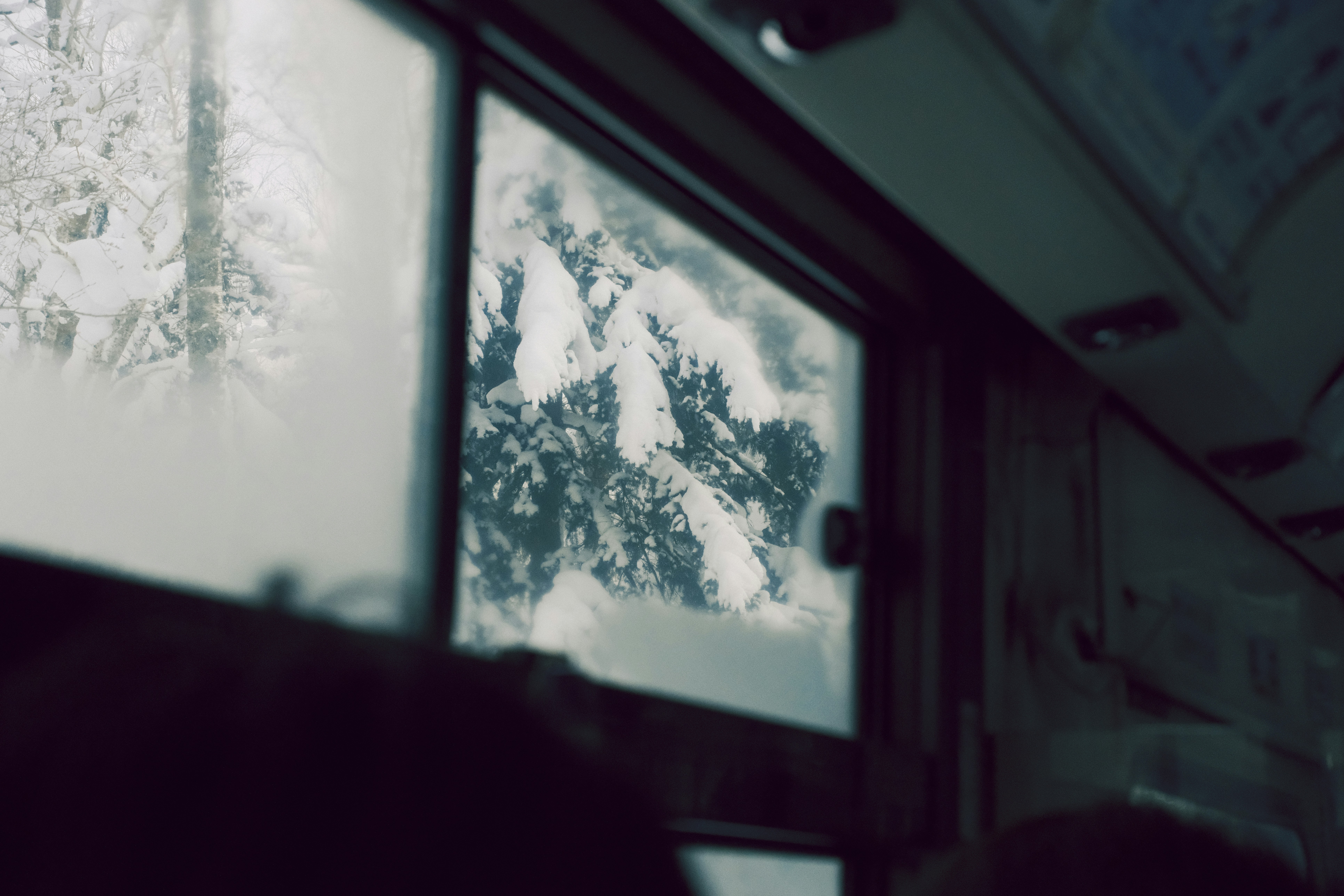Snowy trees seen through a frosty bus window