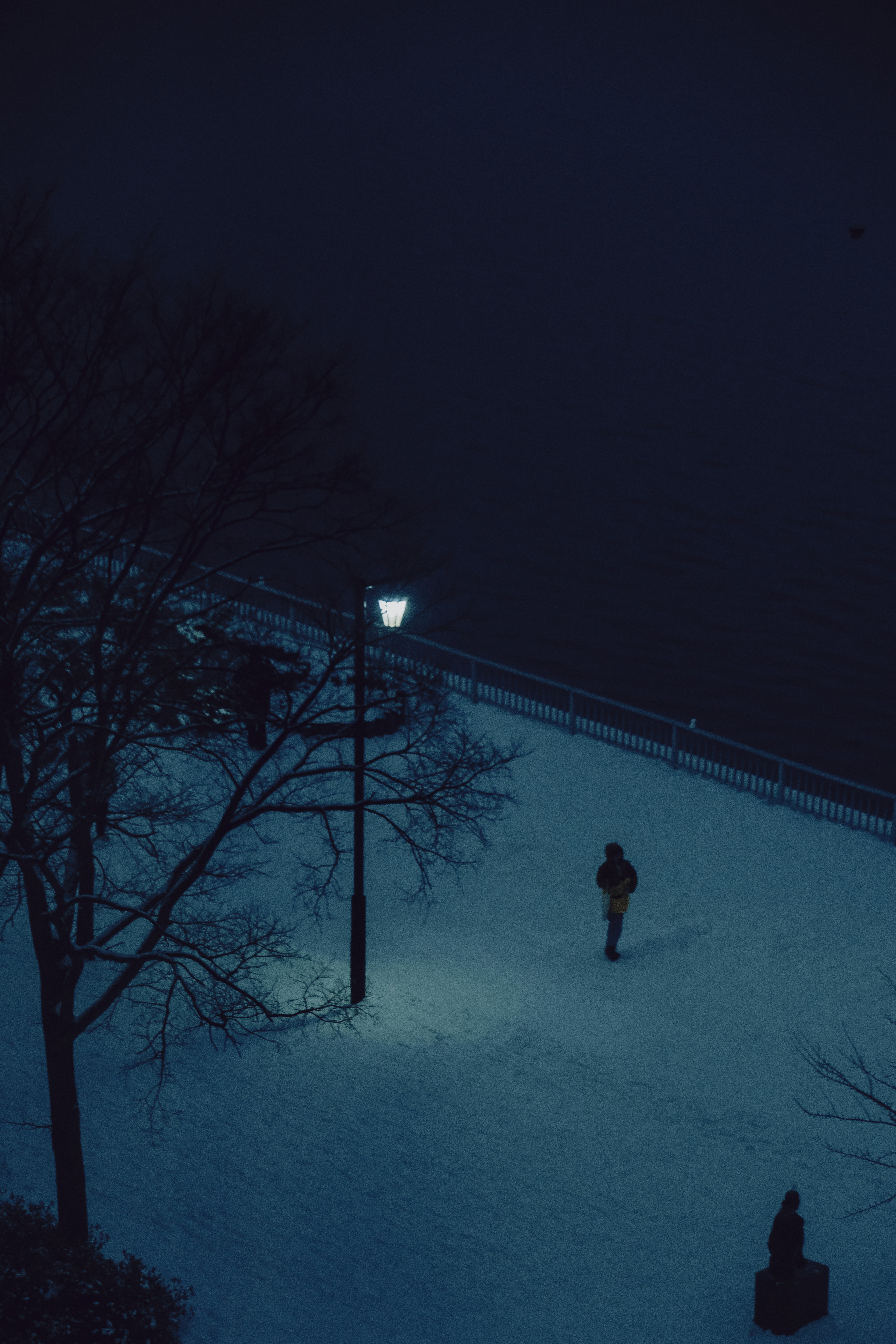 Photo by cuvii