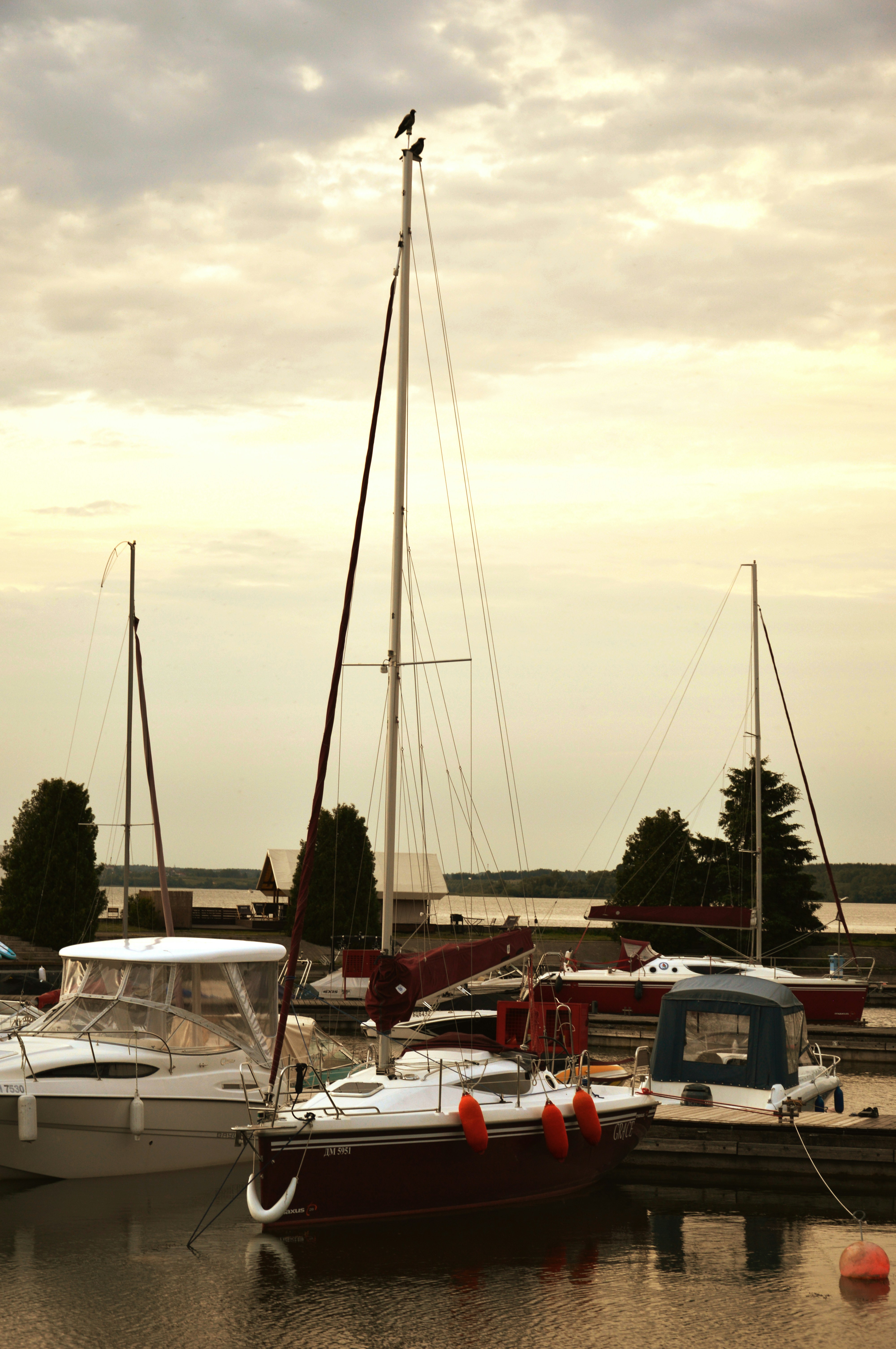 Yatların veya Teknelerin Lokasyonunu Nasıl Öğrenirim? Yeni Başlayanlar İçin Gerçek Vakalar Üzerinden Detaylı Rehber