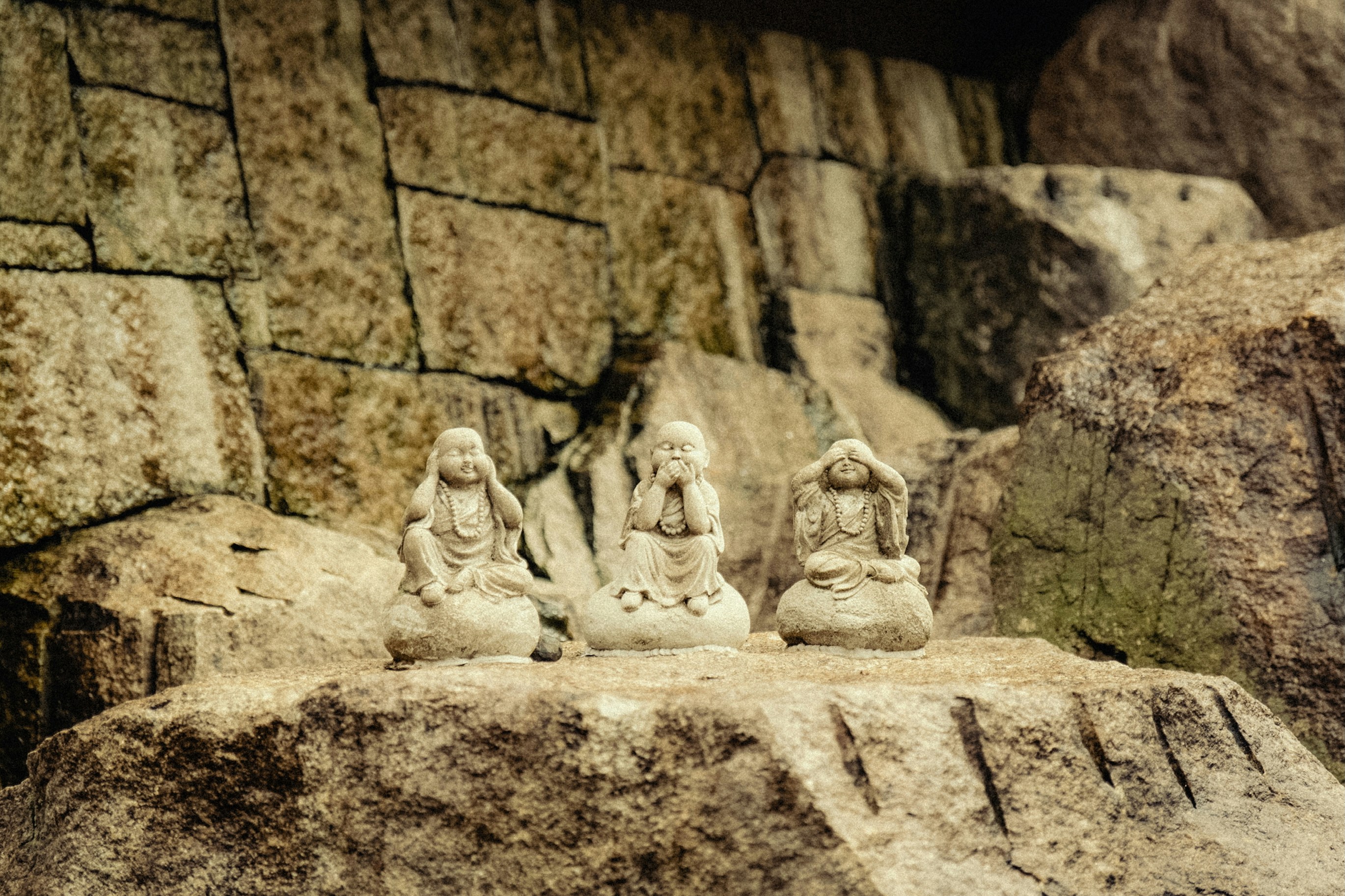 Photo by evanambrose