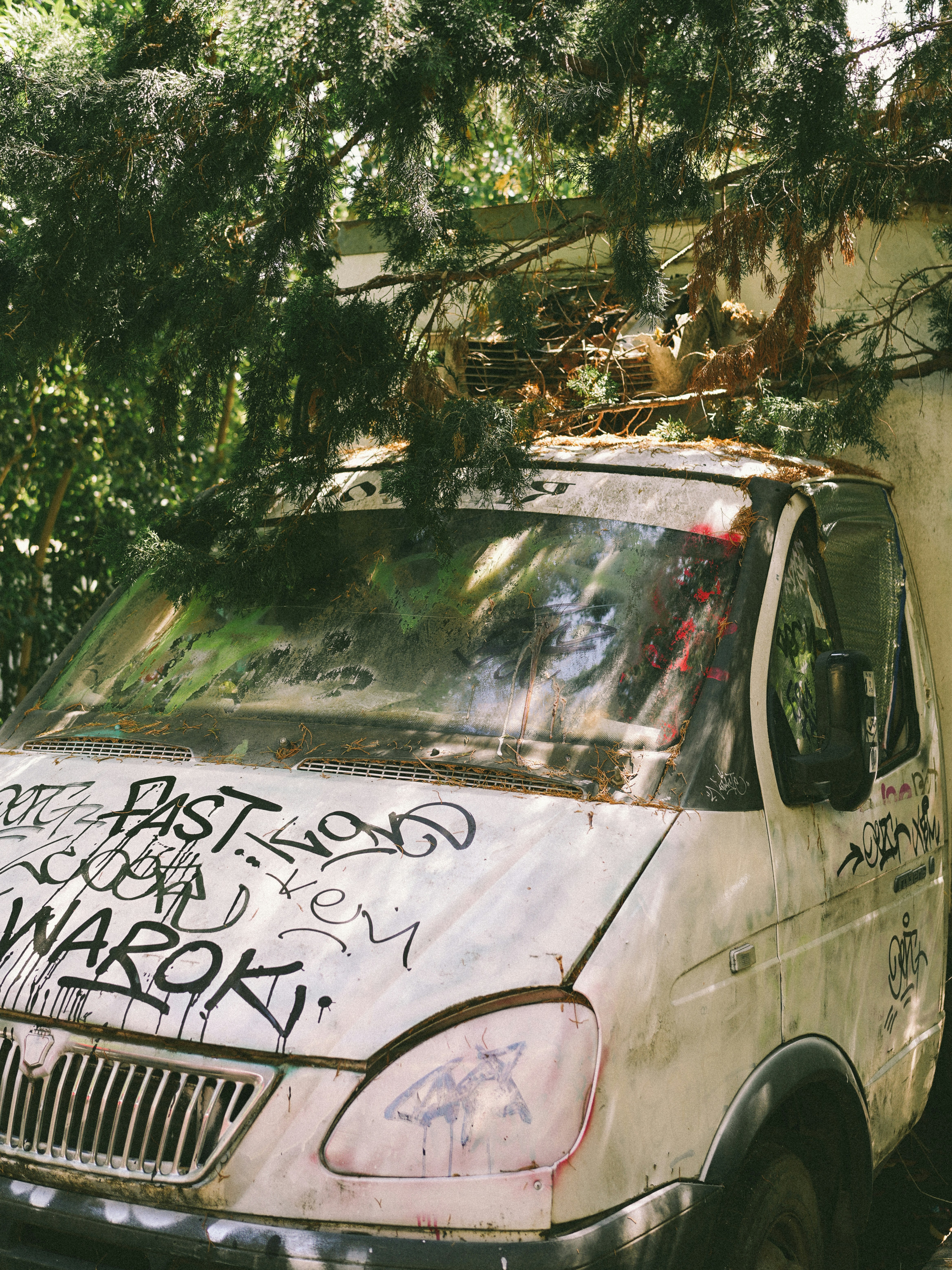 Camionnette blanche couverte de graffitis sous les arbres