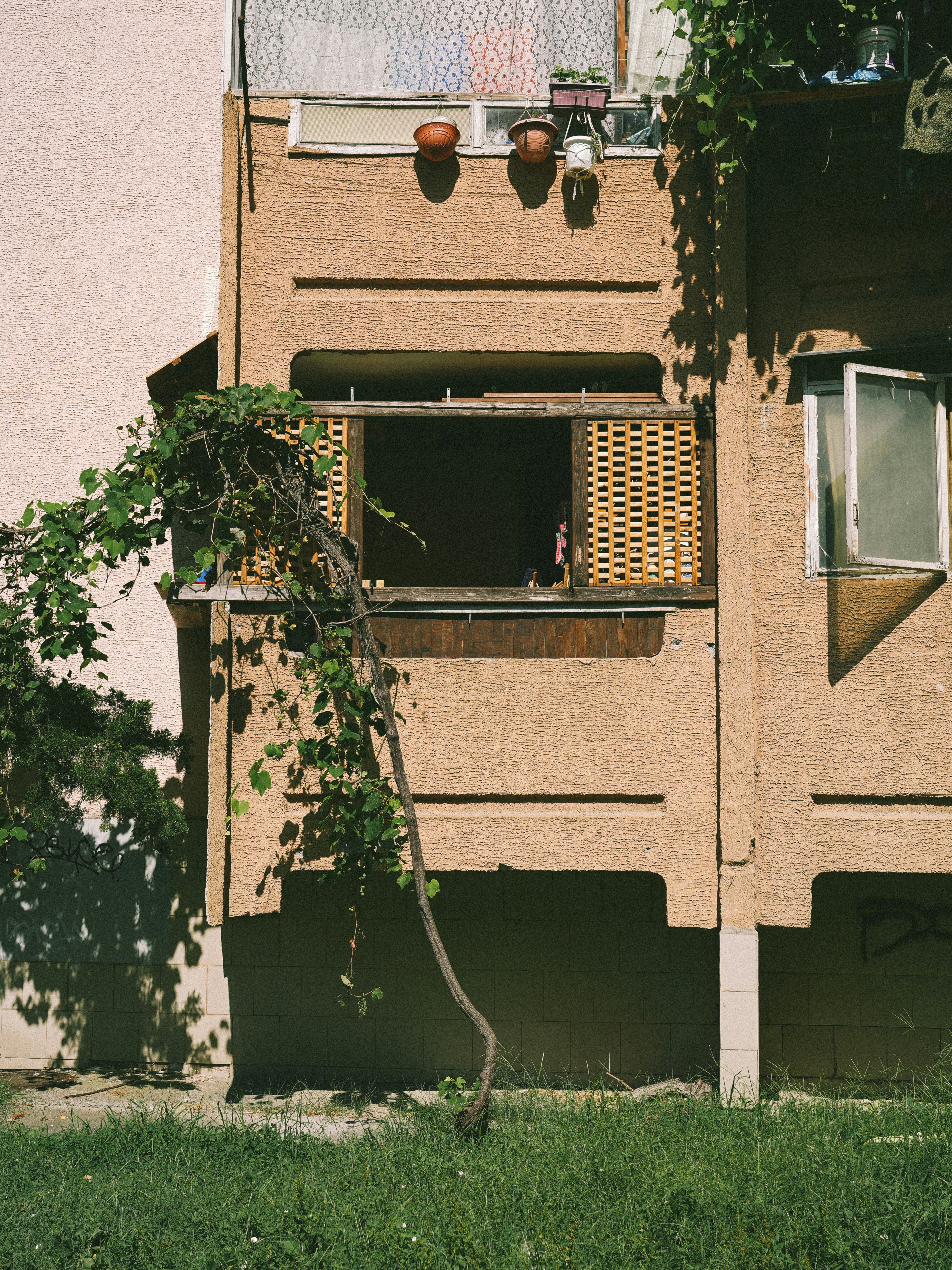 Une vigne pousse sur un bâtiment avec balcon