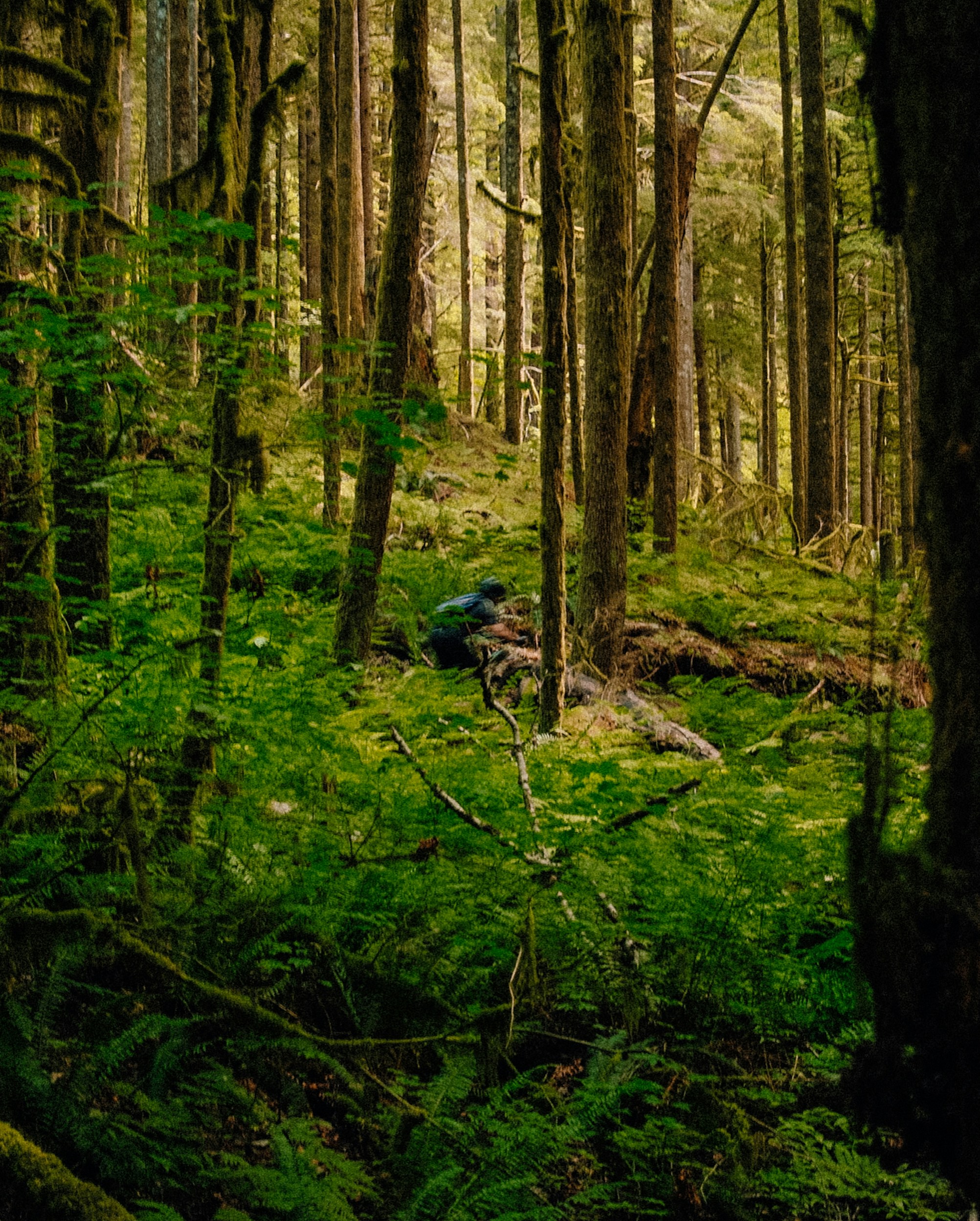 Photo by evanambrose