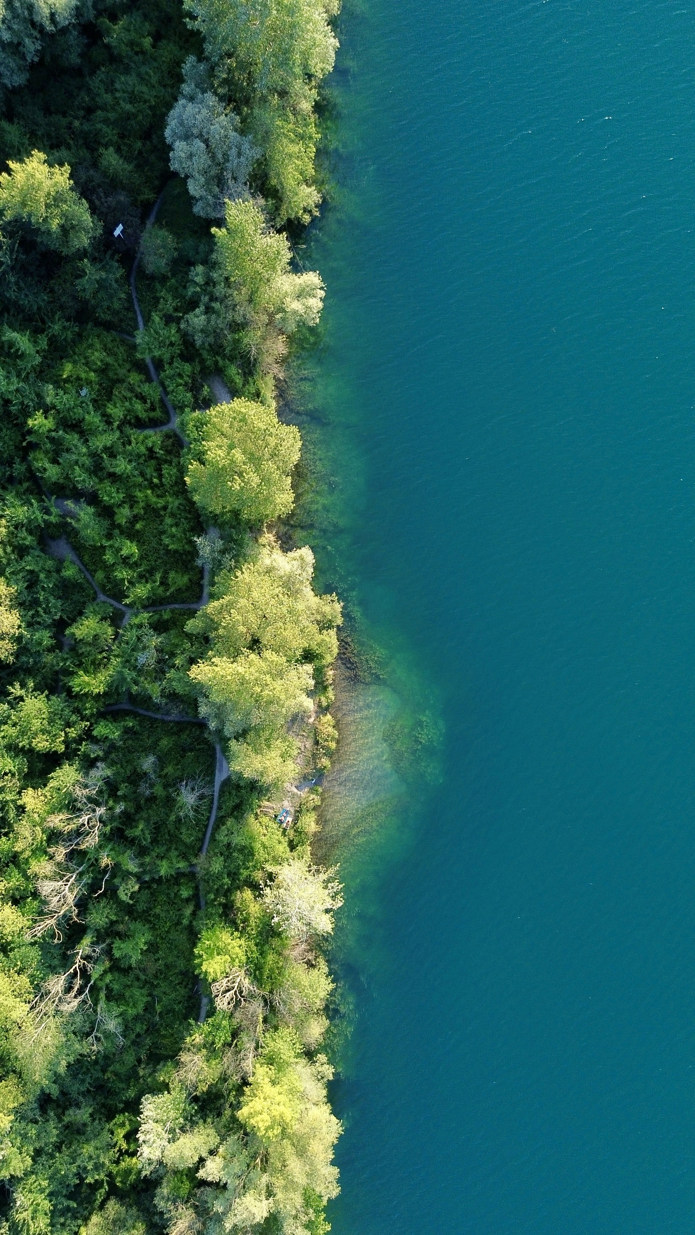 Photo by behivee_lens