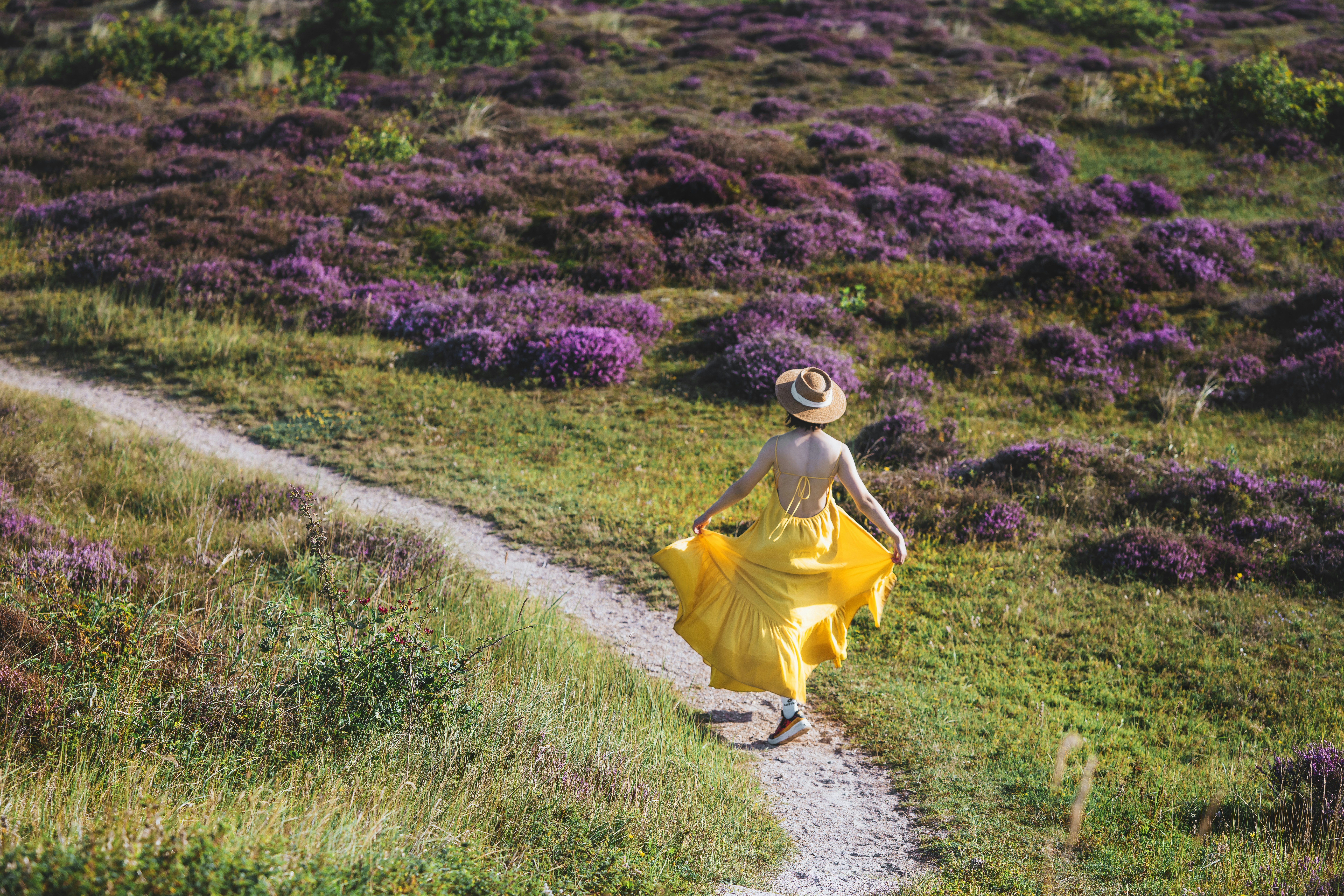 Woman in yellow dress walks on path through heather