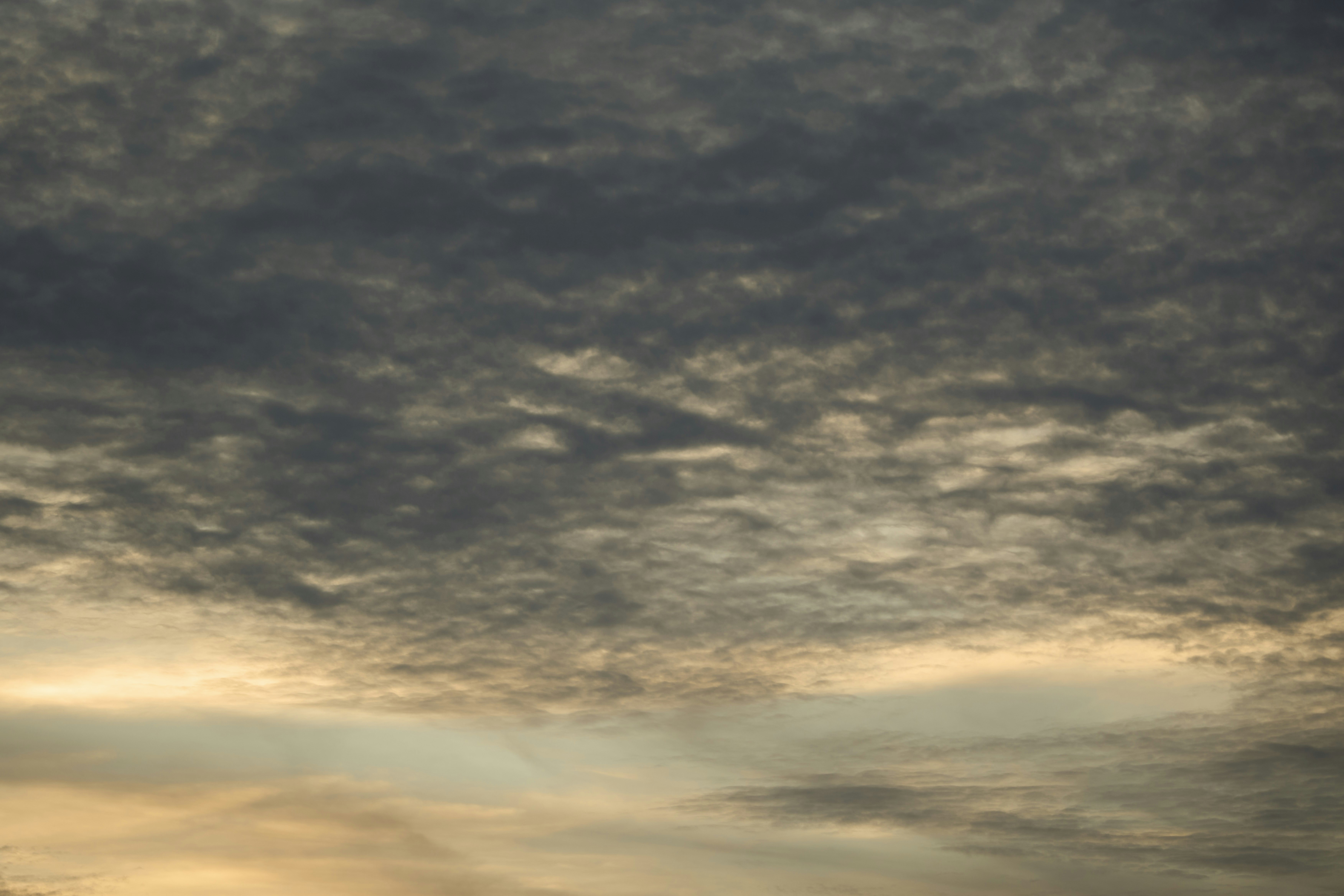 Photo by wolfgang_hasselmann