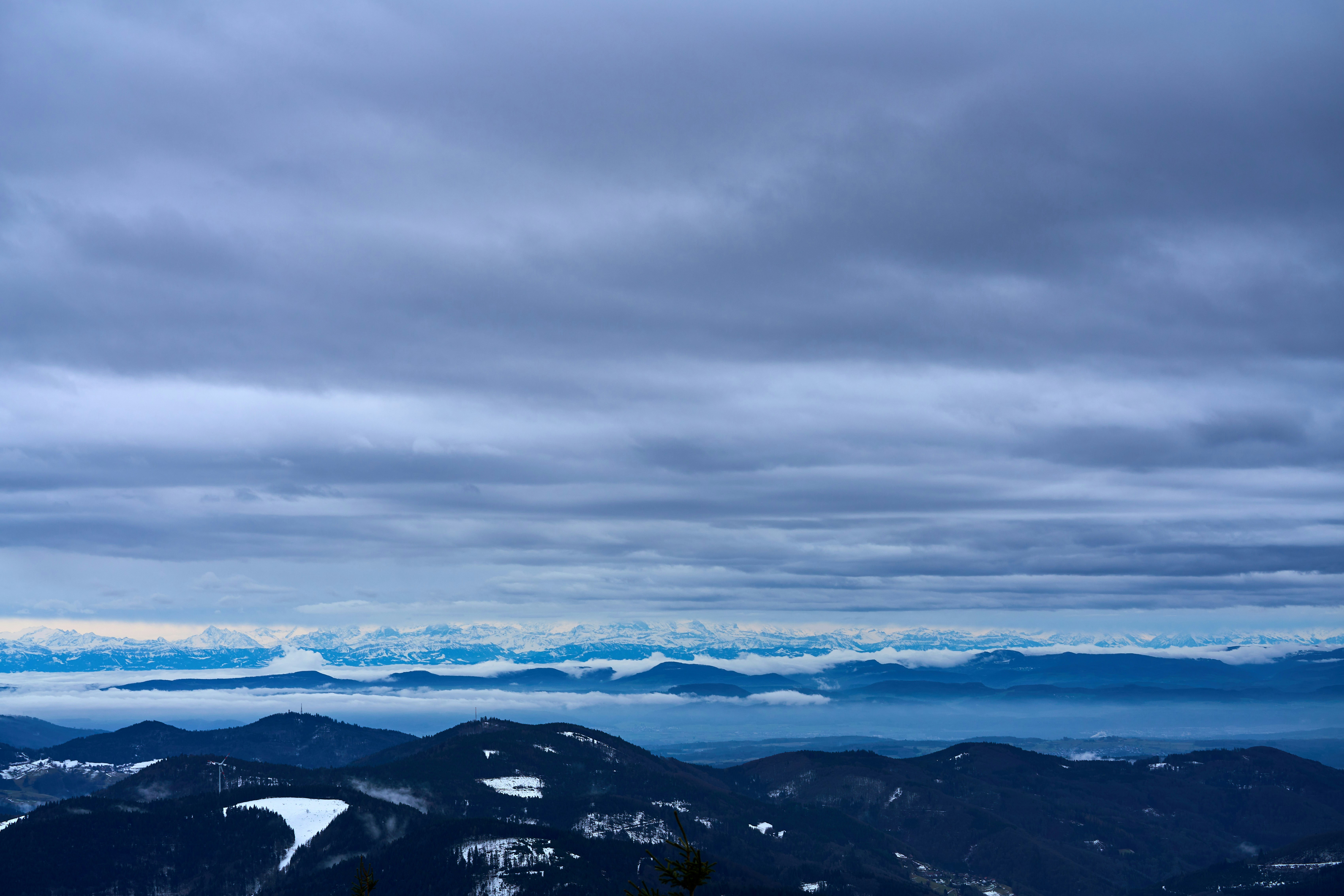 Photo by wolfgang_hasselmann