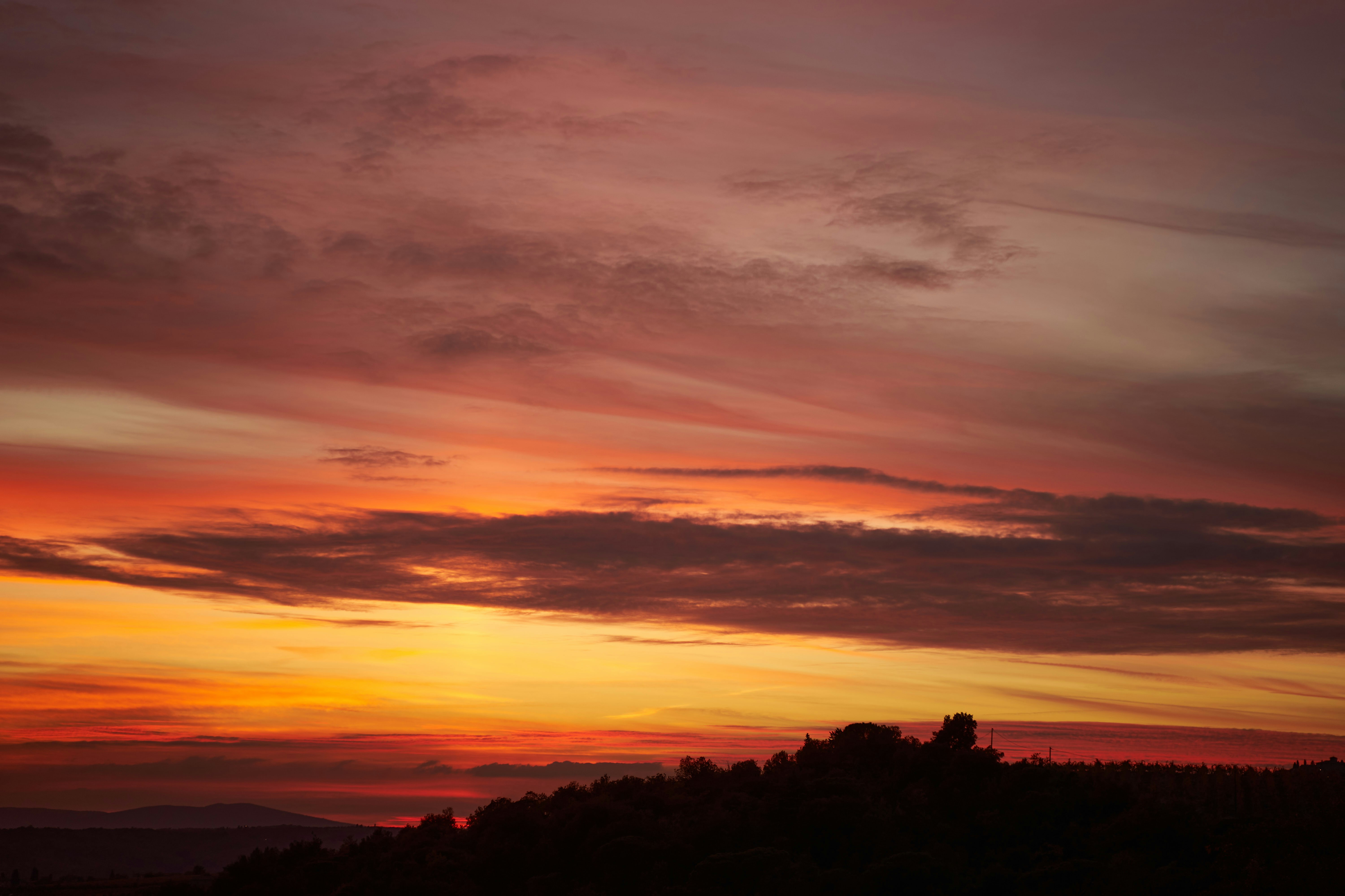 Photo by wolfgang_hasselmann