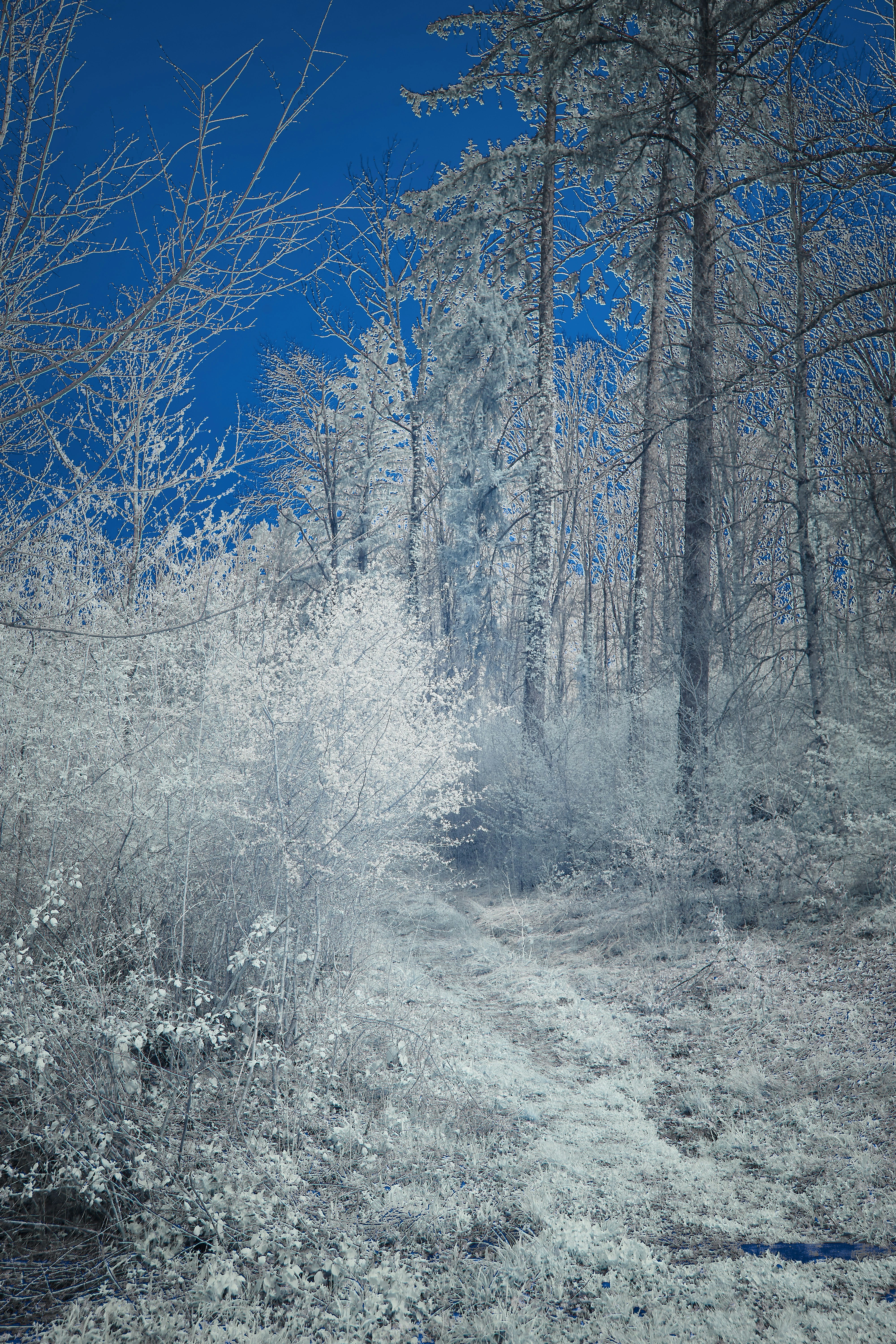 Photo by wolfgang_hasselmann