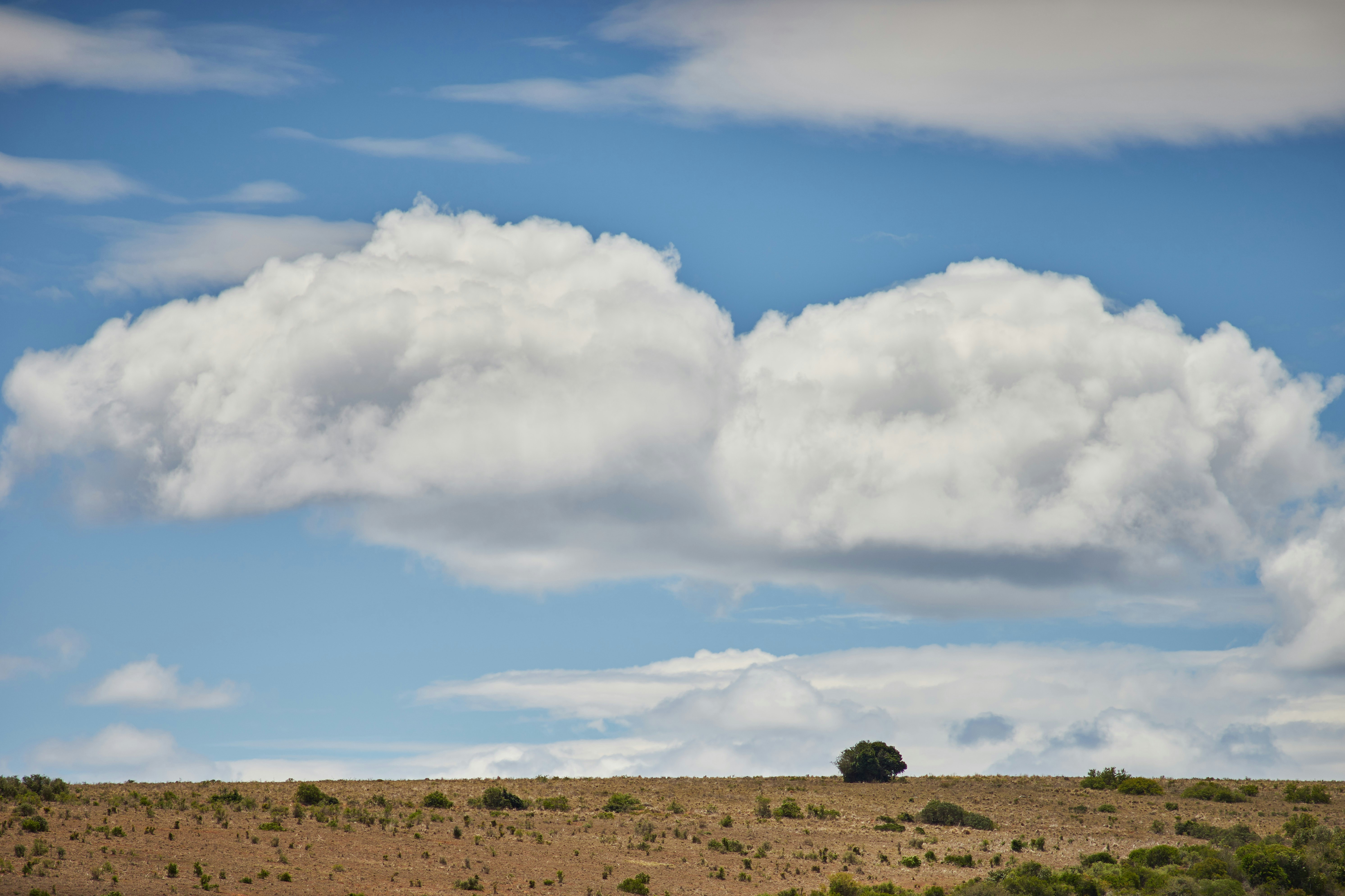 Photo by wolfgang_hasselmann