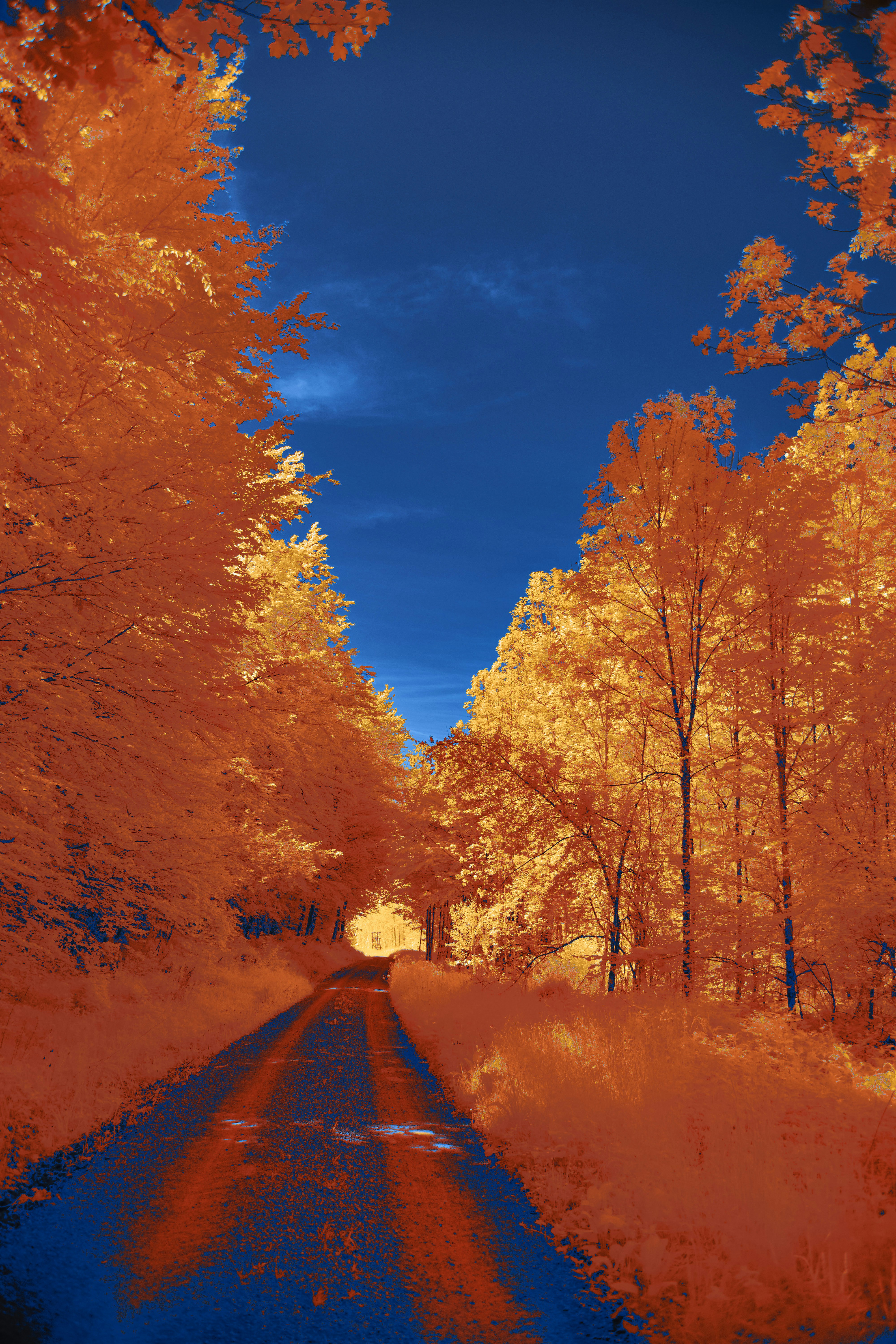 Photo by wolfgang_hasselmann