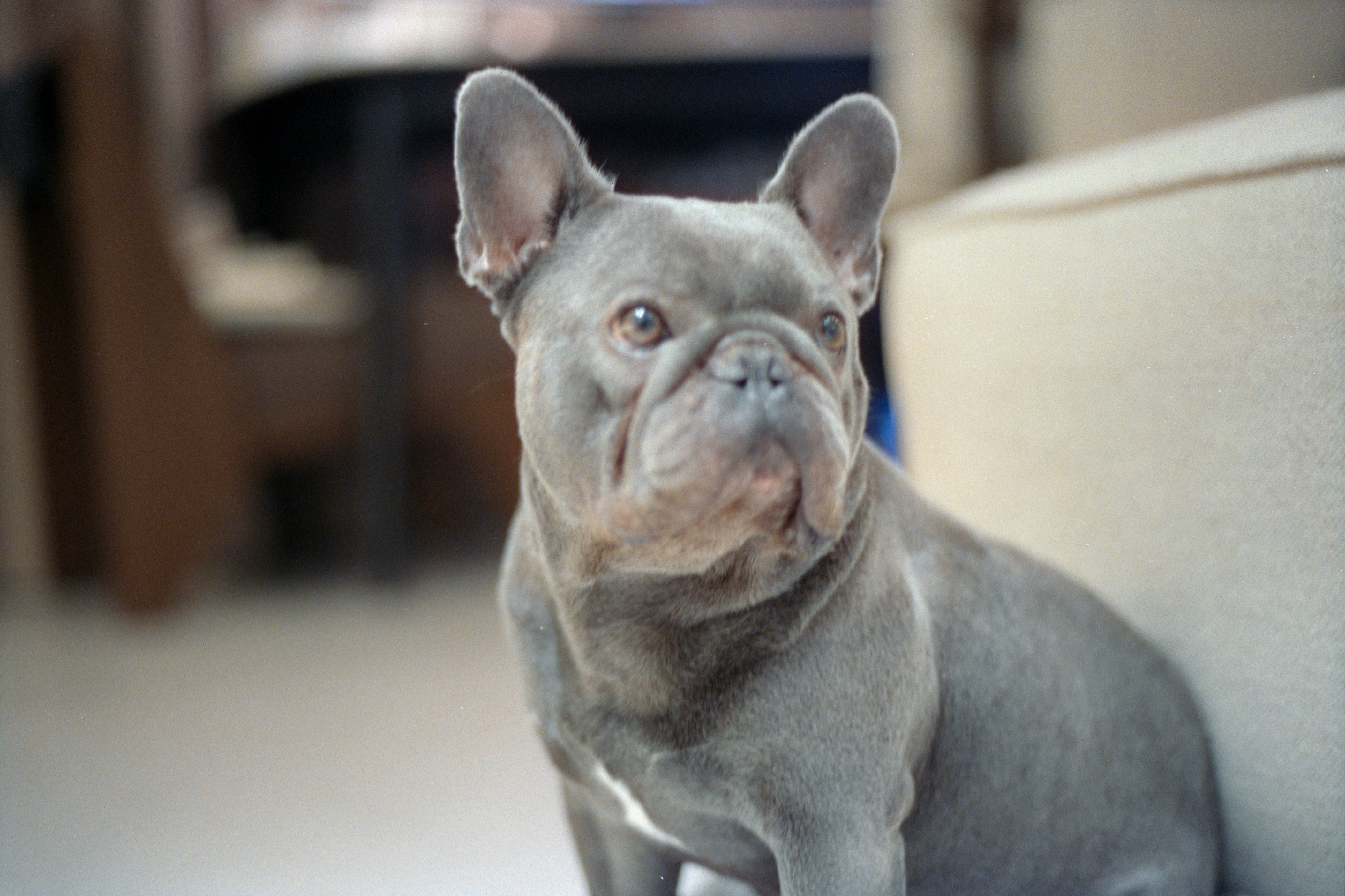 Photo by zhenyao_photo