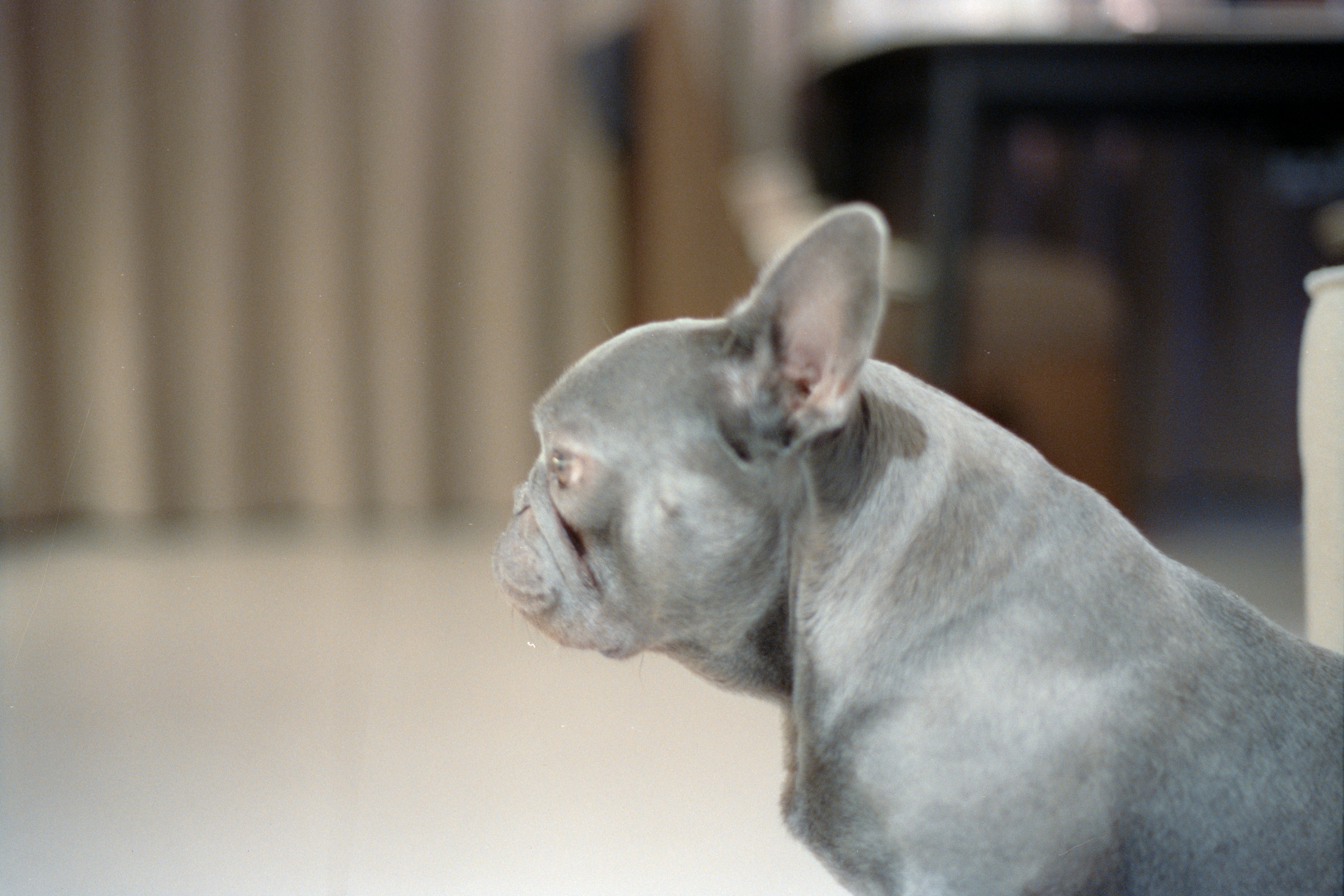 Photo by zhenyao_photo