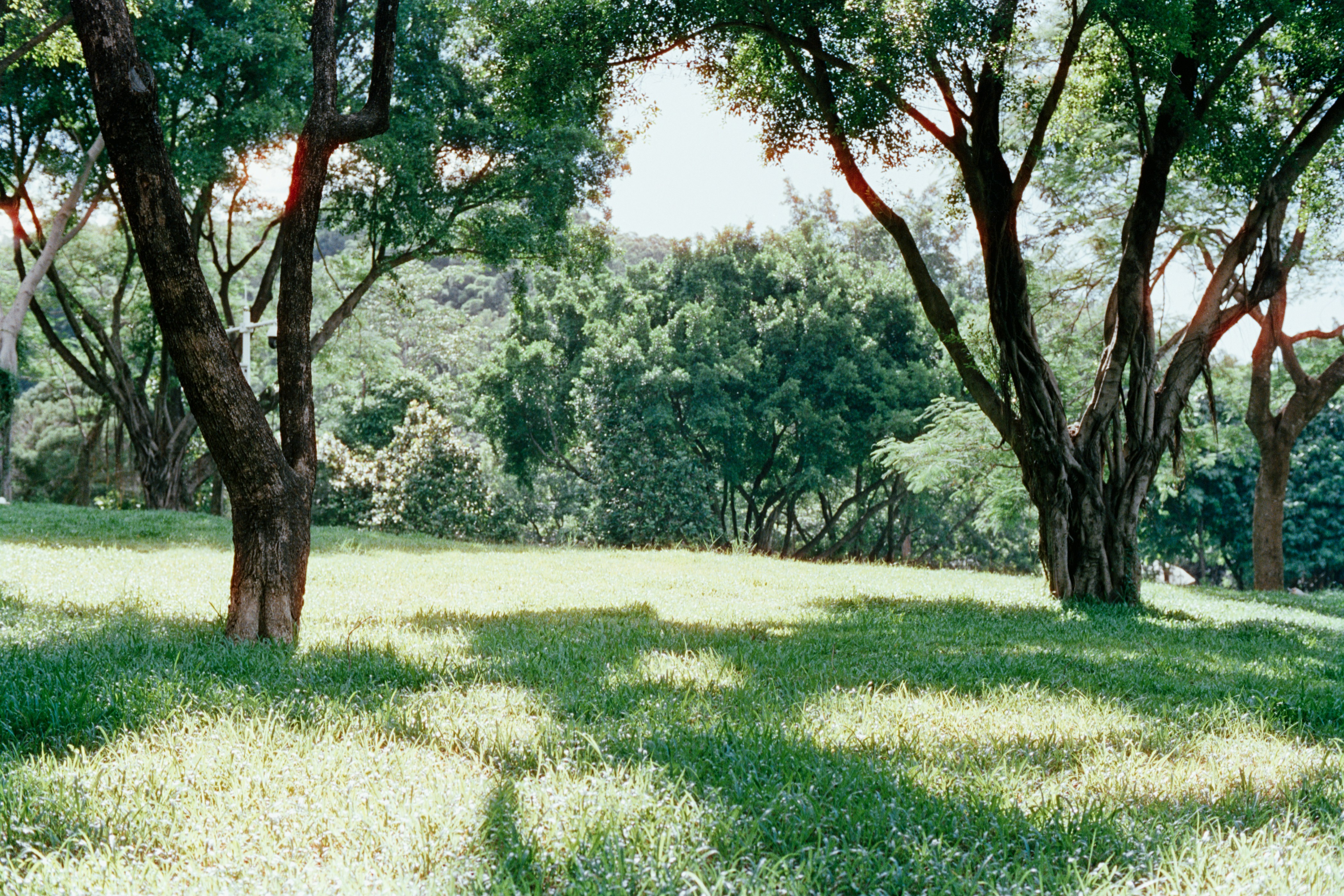 Photo by zhenyao_photo