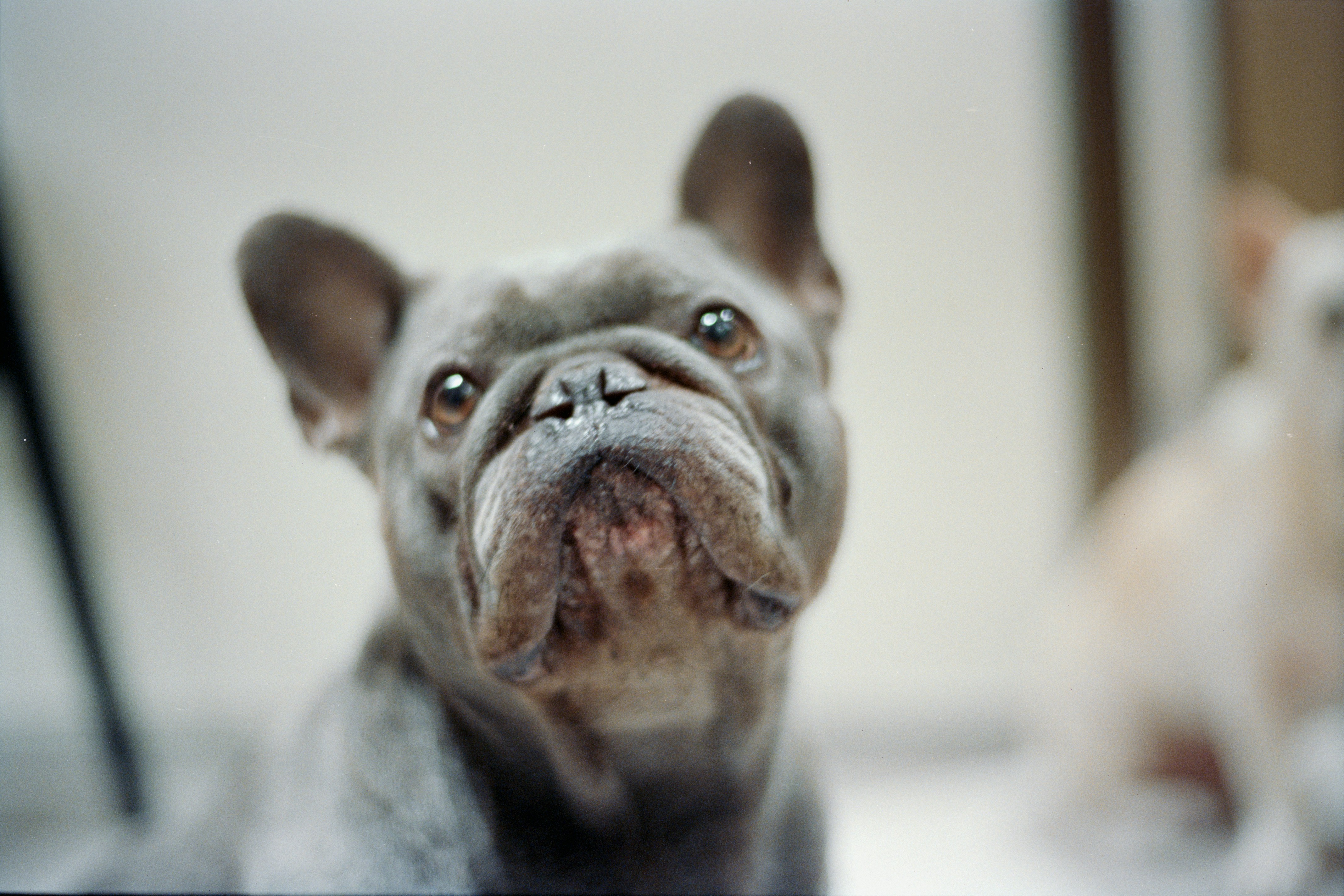 Photo by zhenyao_photo