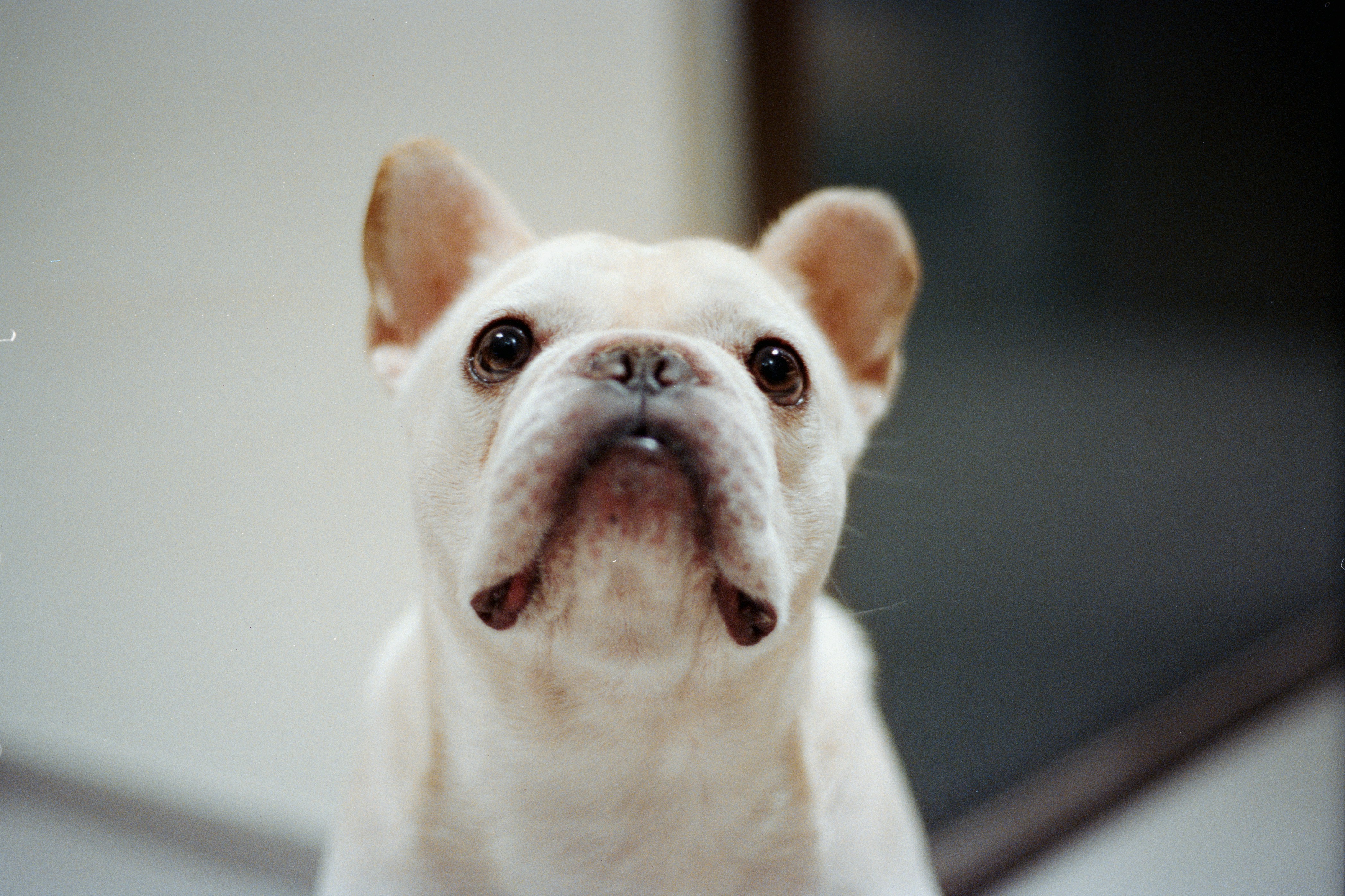 Photo by zhenyao_photo