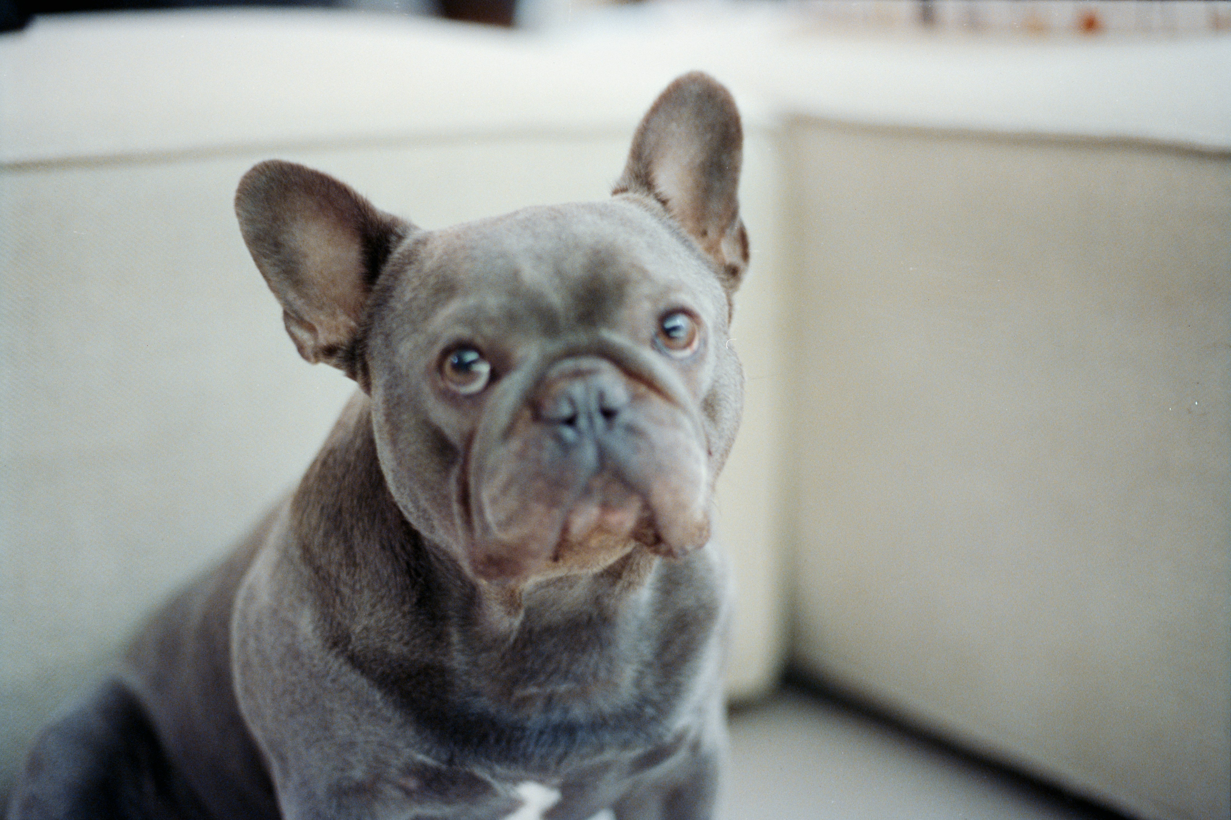 Photo by zhenyao_photo