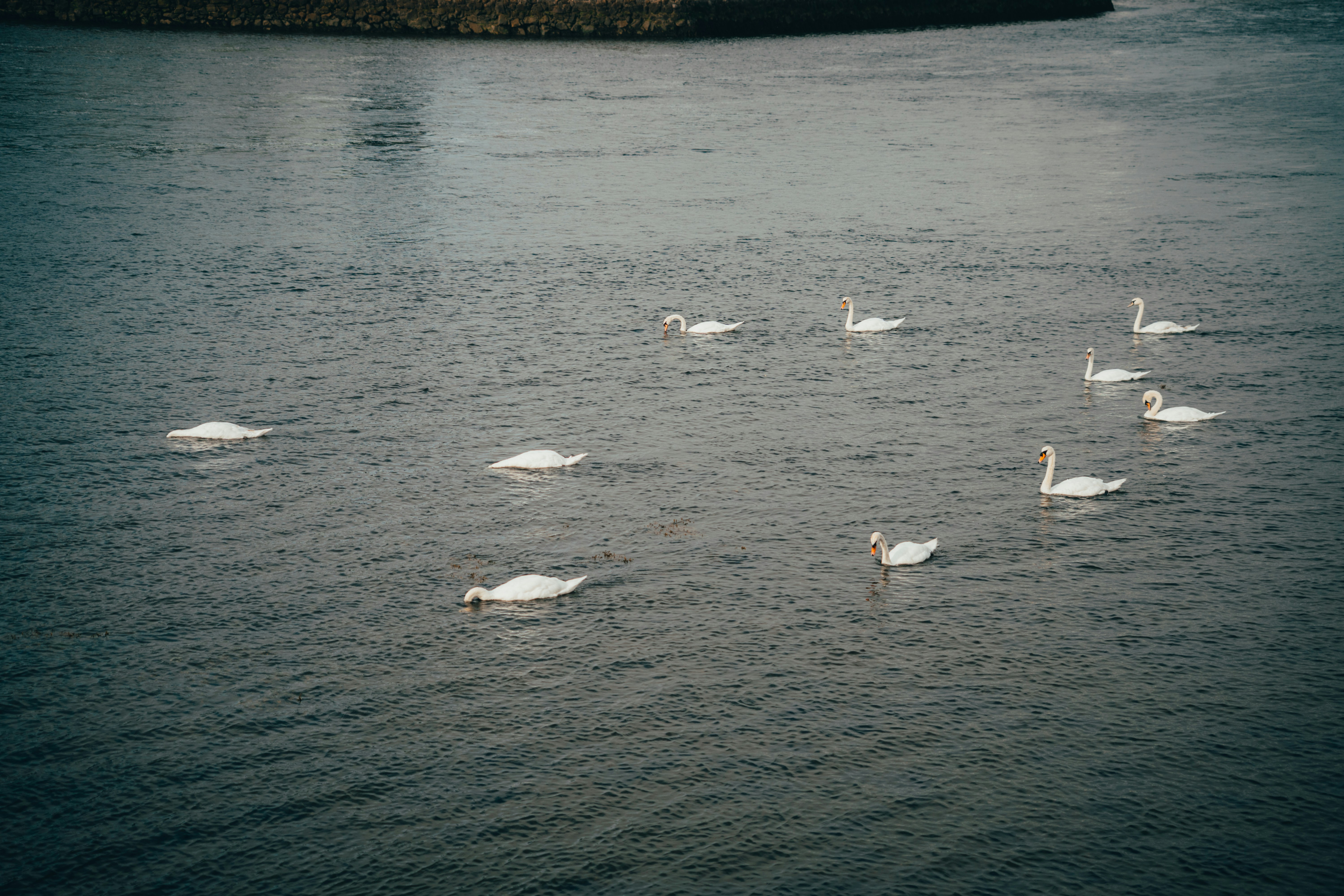 Photo by annahunko
