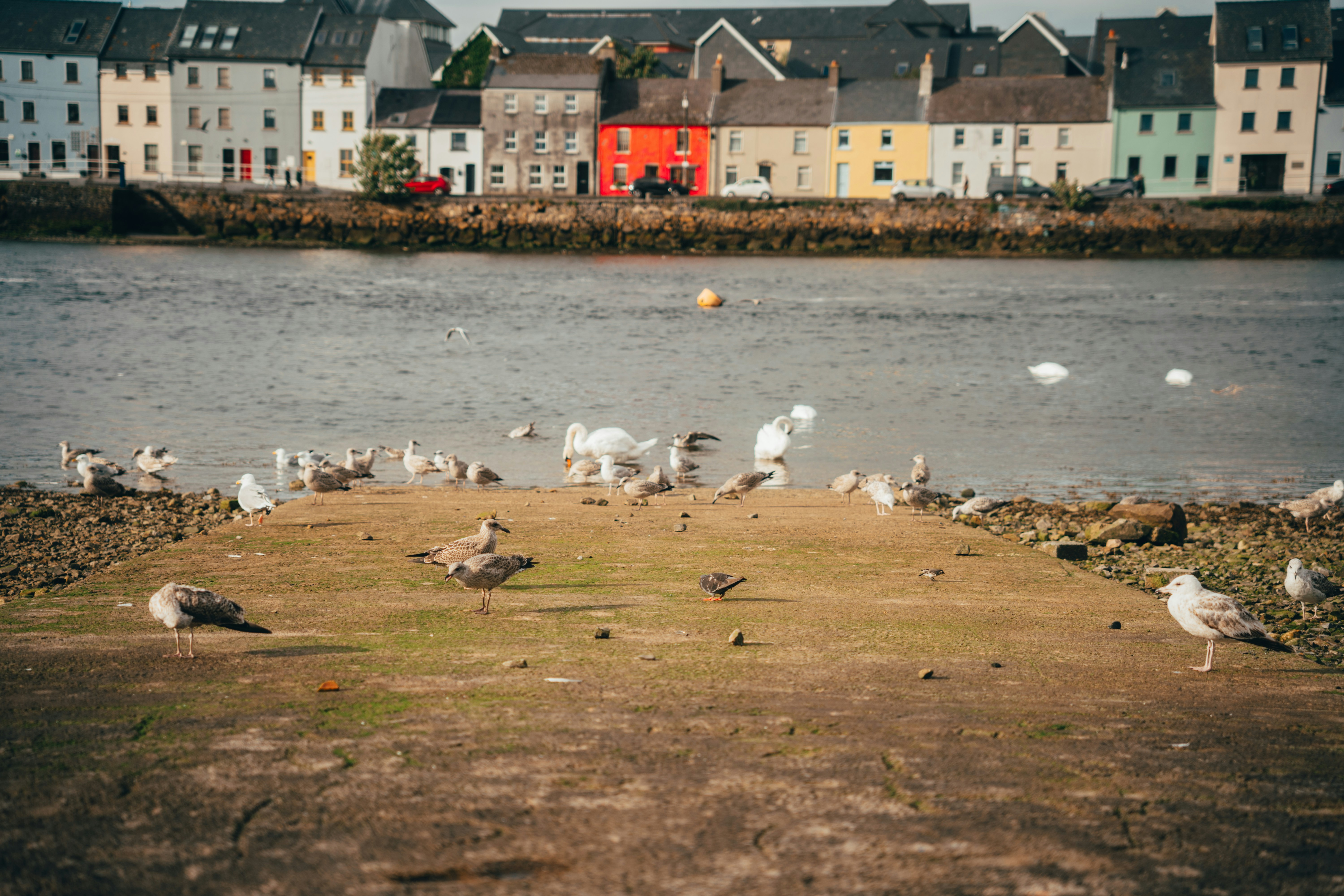 Image by Anna Hunko via Unsplash