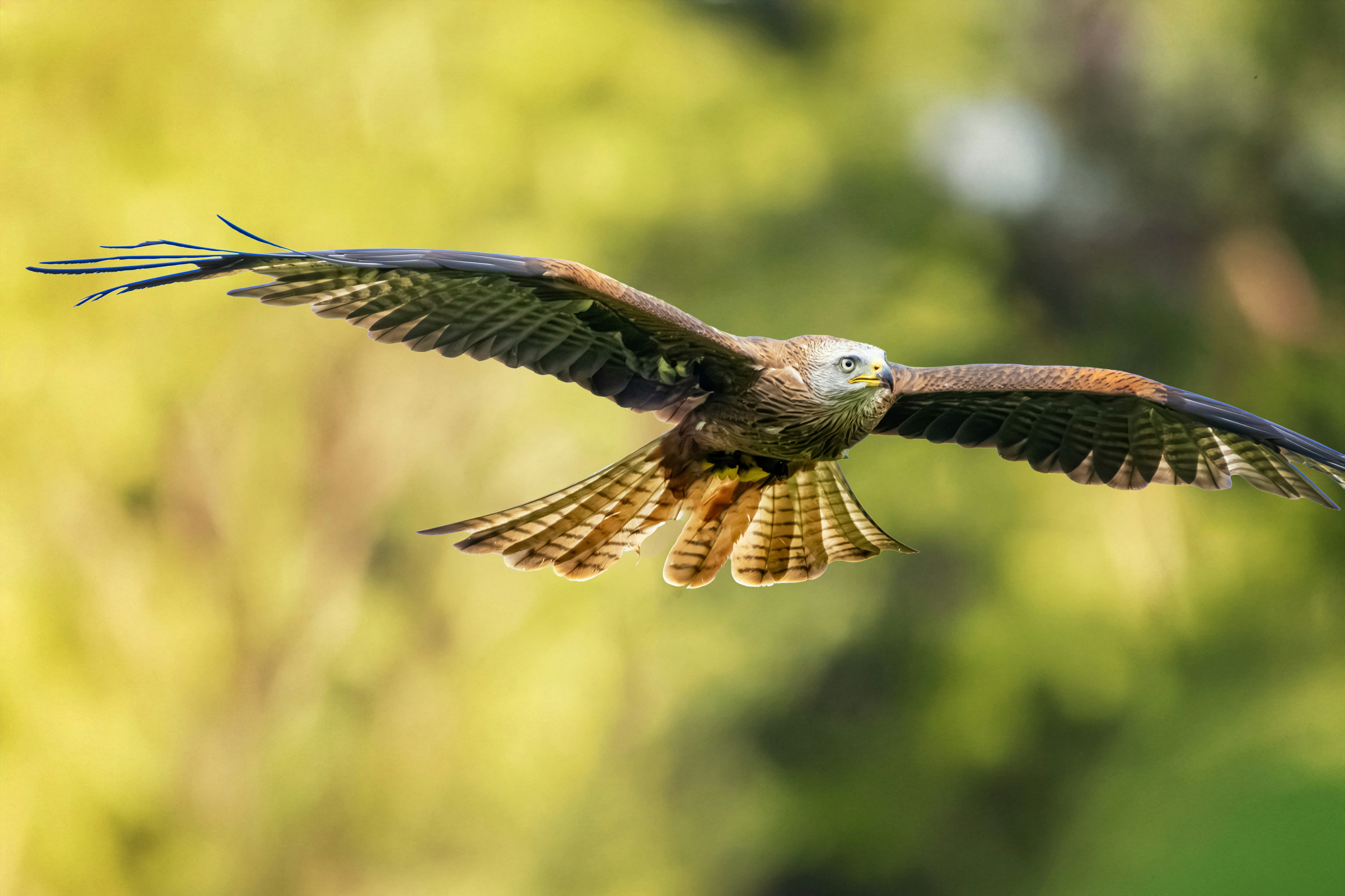 Photo by philrobson100