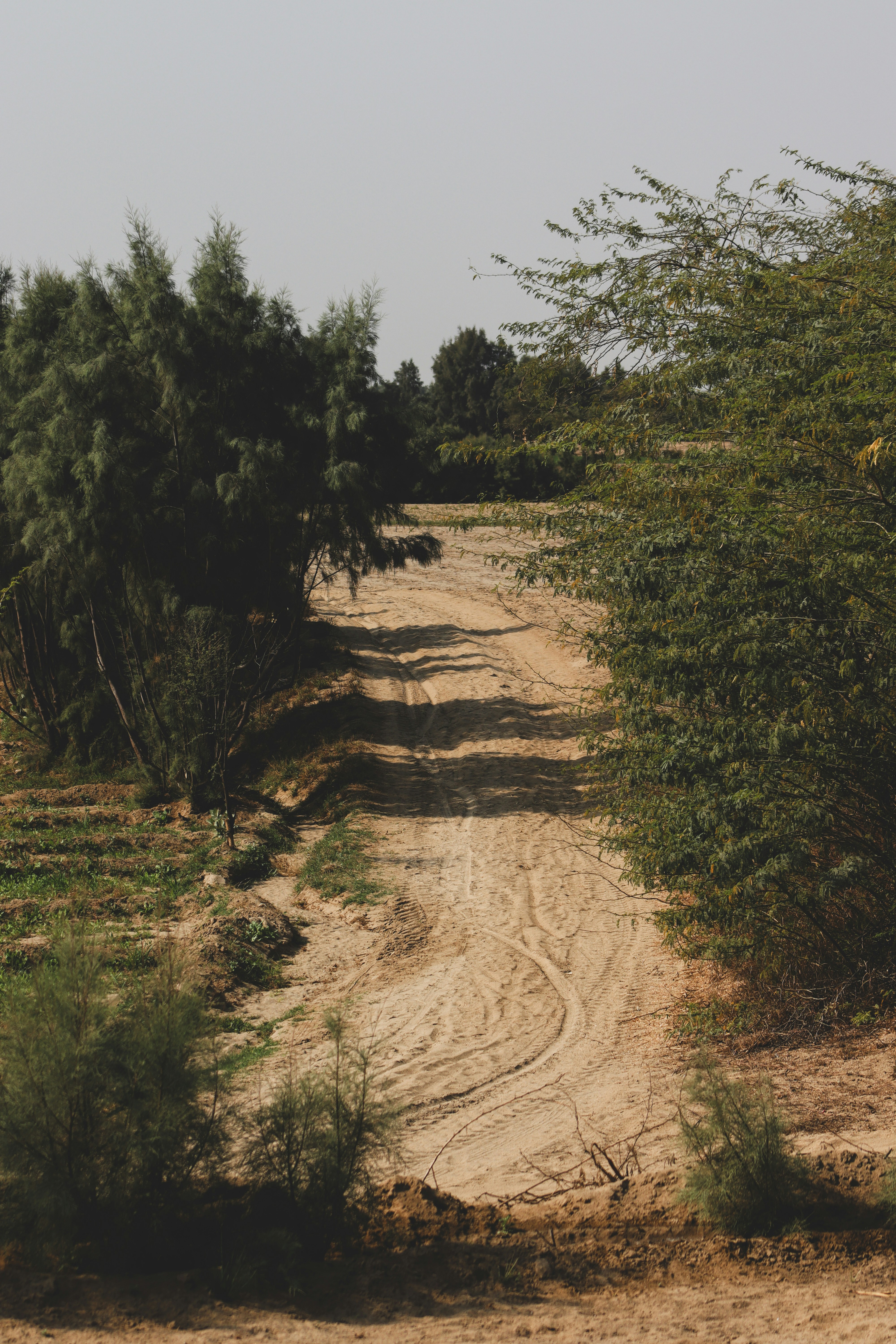 Photo by drphotographer152