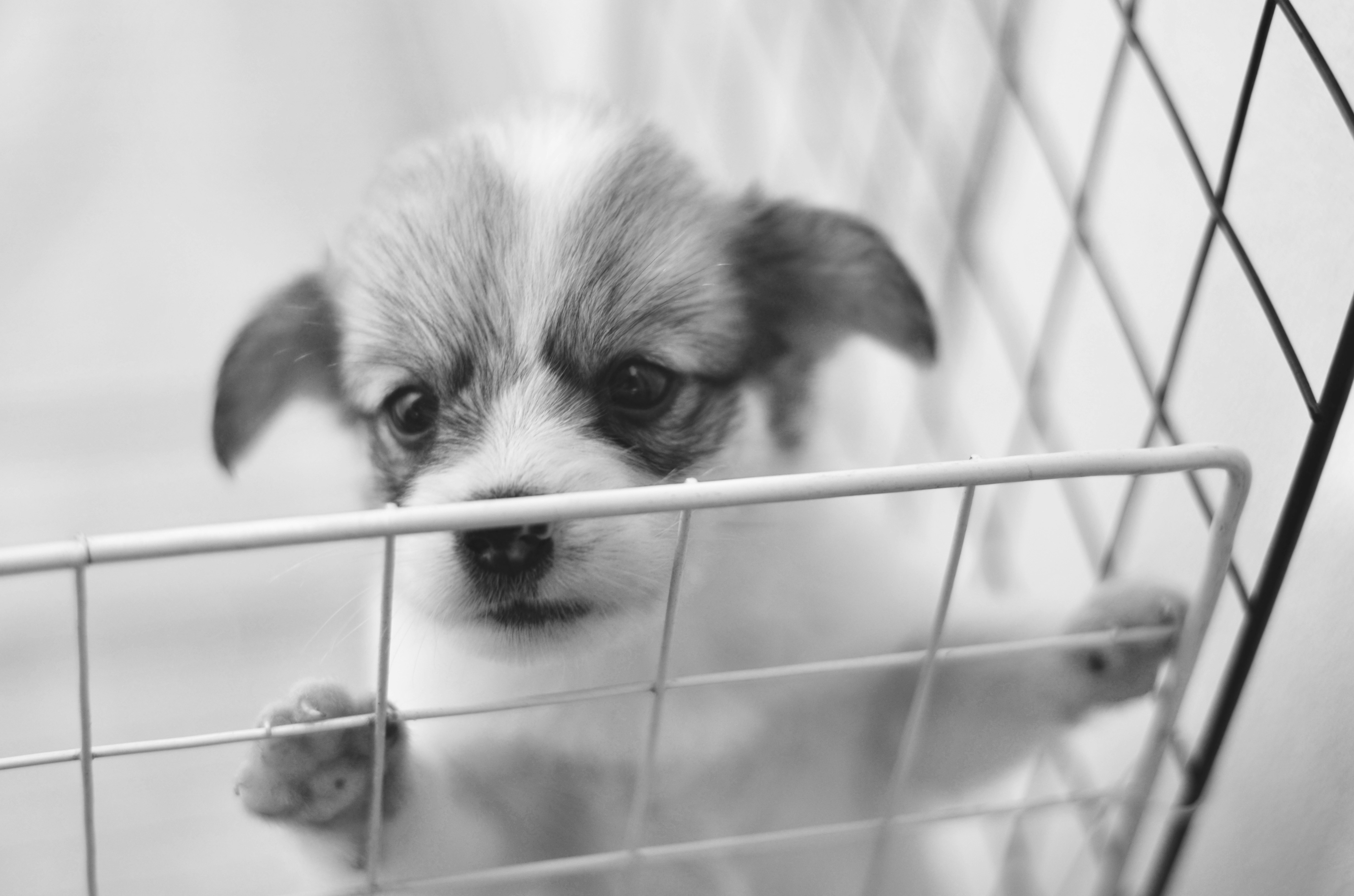 Photo by potatonorim